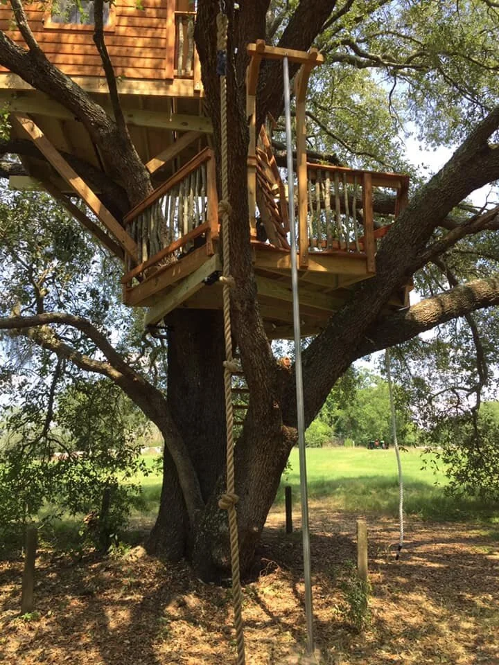 Live Oak Tree Live Oak Treehouse(2).jpeg