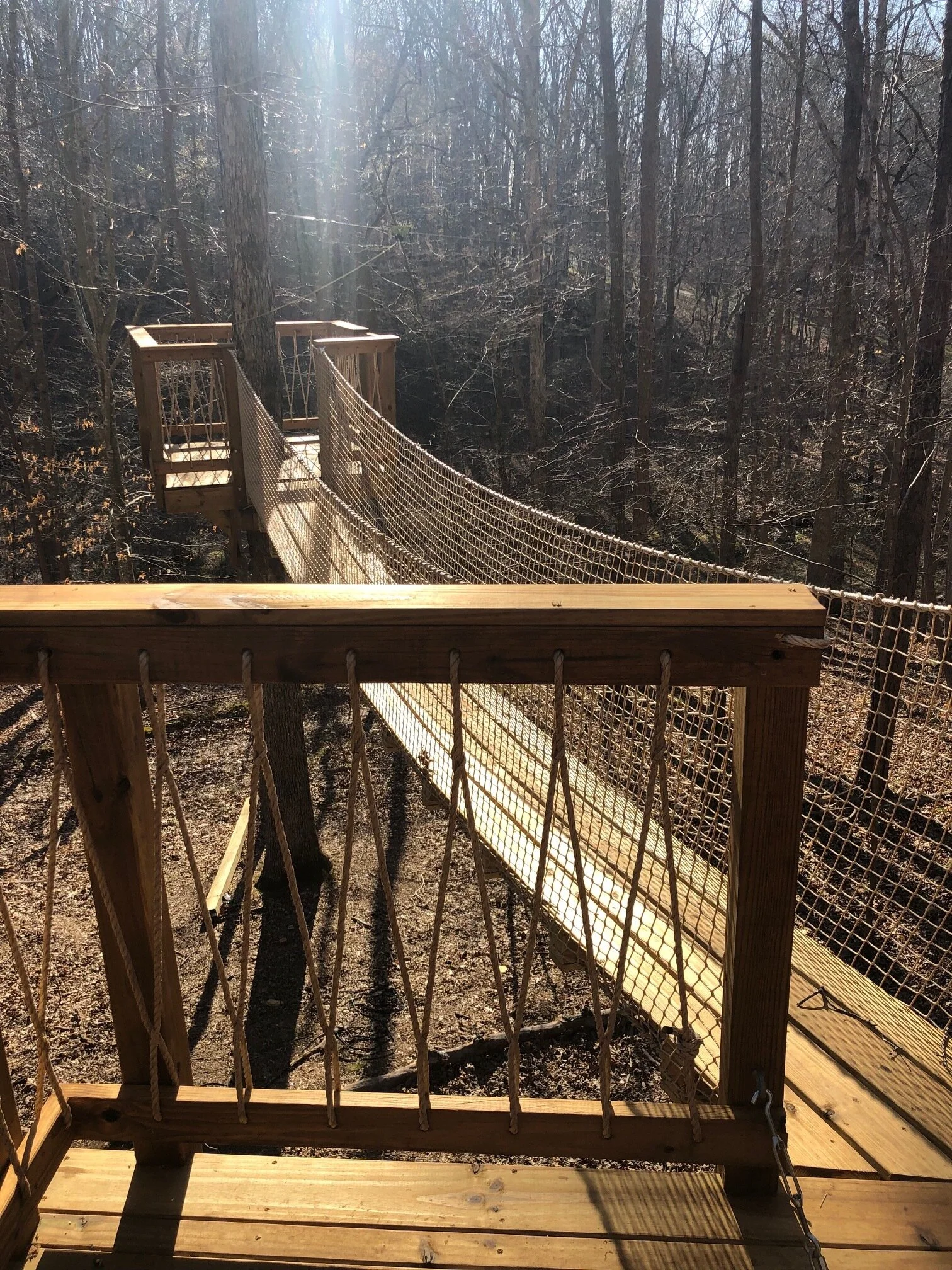 Classic in the middle of the forest image2.jpeg