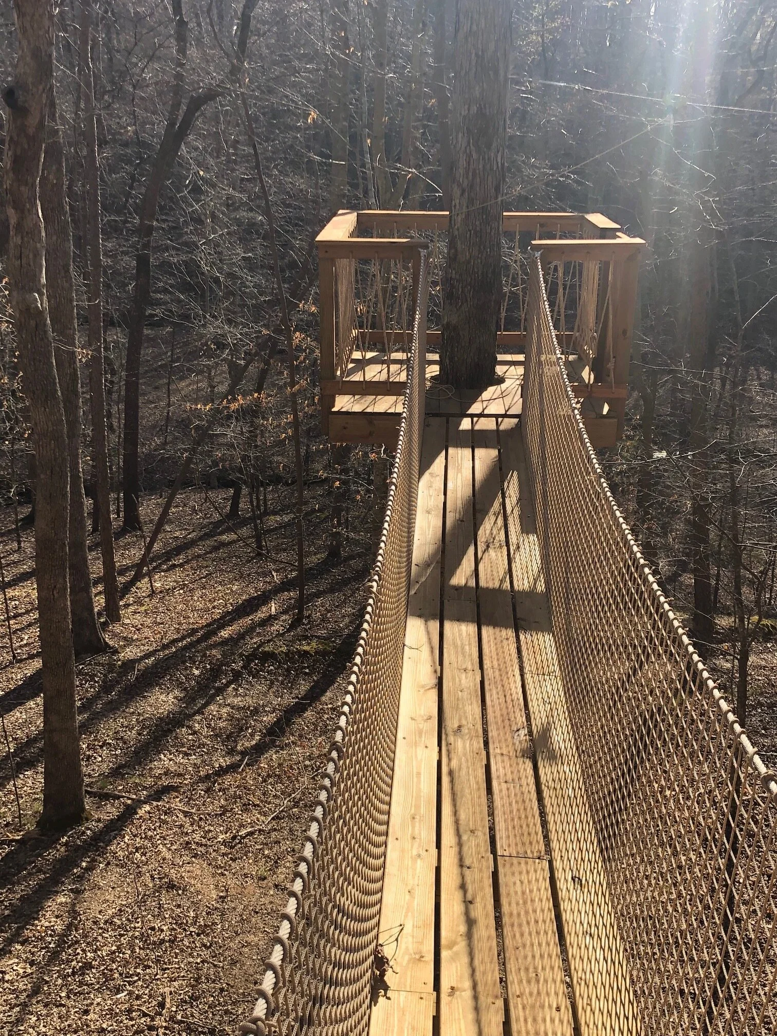 Classic in the middle of the forest image7.jpeg