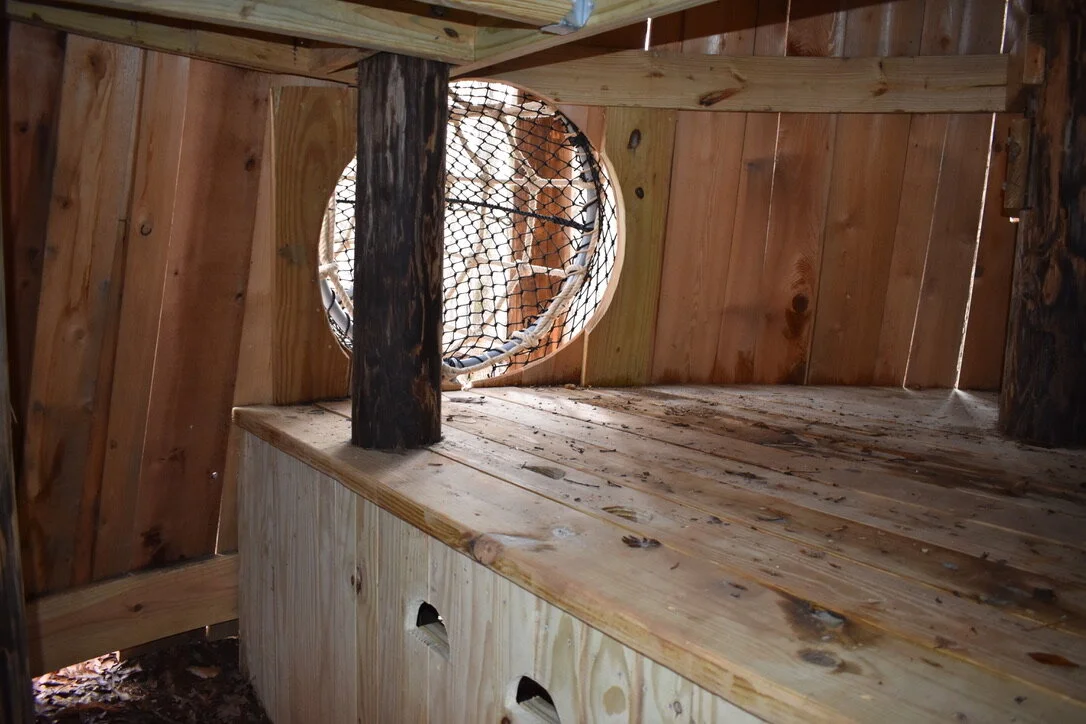 Athens State Botanical Gardens UNADJUSTEDNONRAW_thumb_33c0.jpg