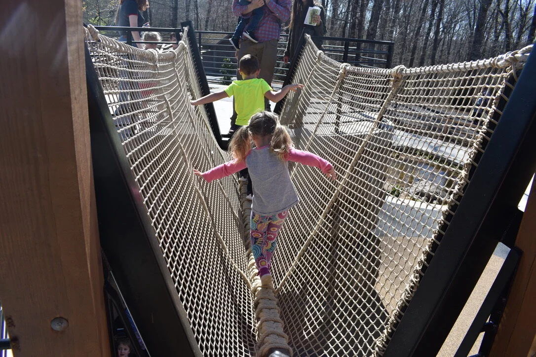 Athens State Botanical Gardens UNADJUSTEDNONRAW_thumb_34e0.jpg