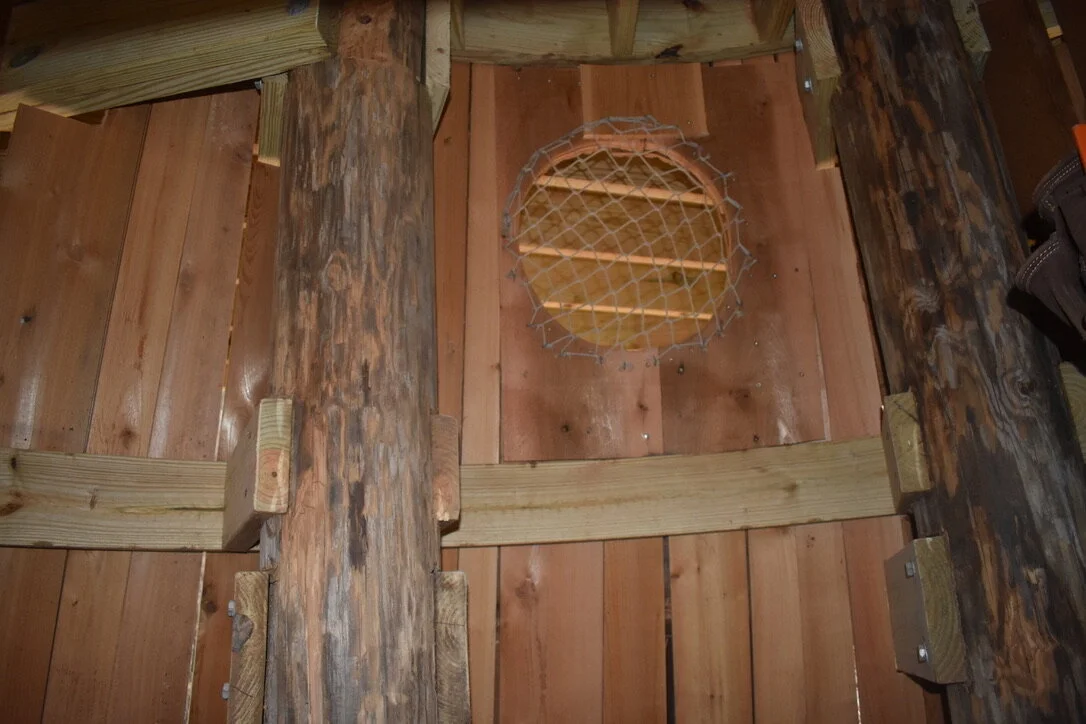 Athens State Botanical Gardens UNADJUSTEDNONRAW_thumb_328d.jpg