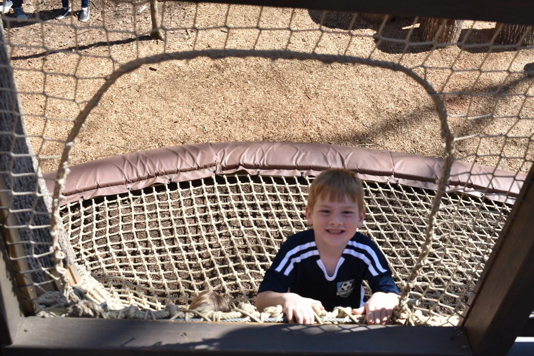 Athens State Botanical Gardens UNADJUSTEDNONRAW_thumb_351c.jpg