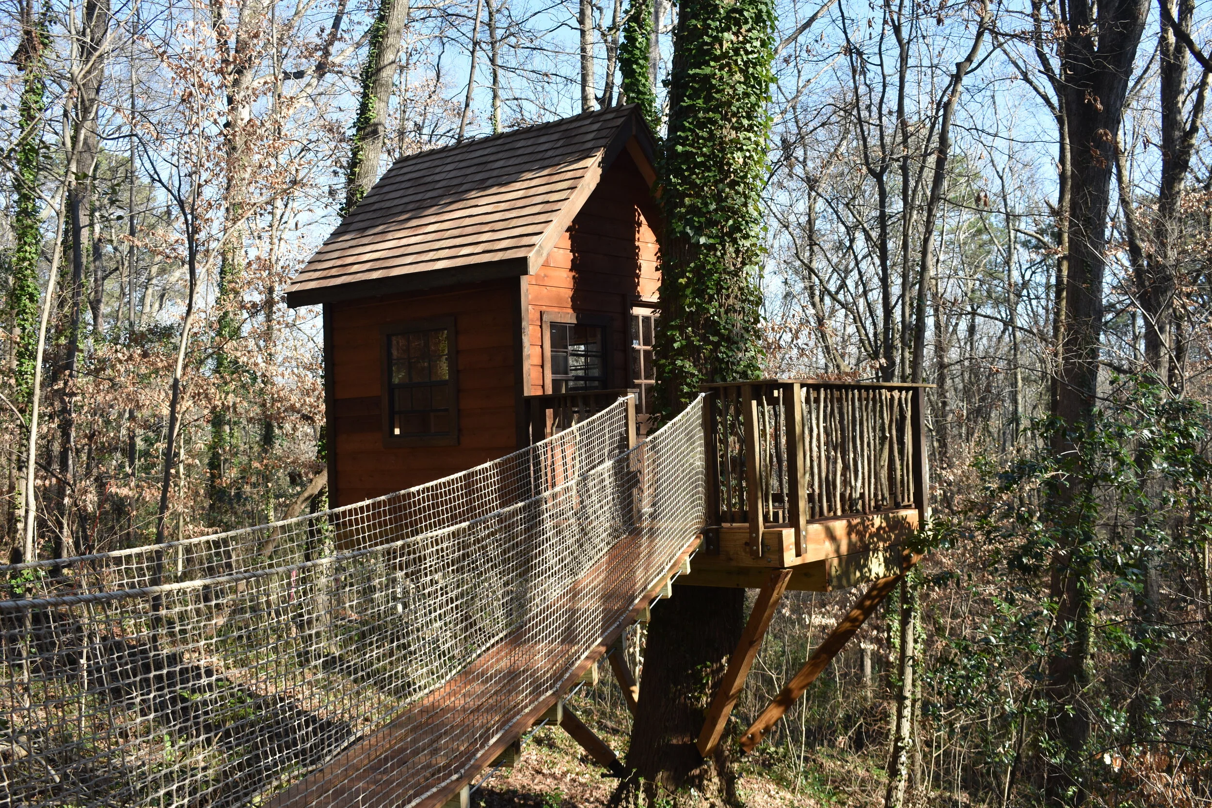 Classic Bridge Access DSC_0005.JPG