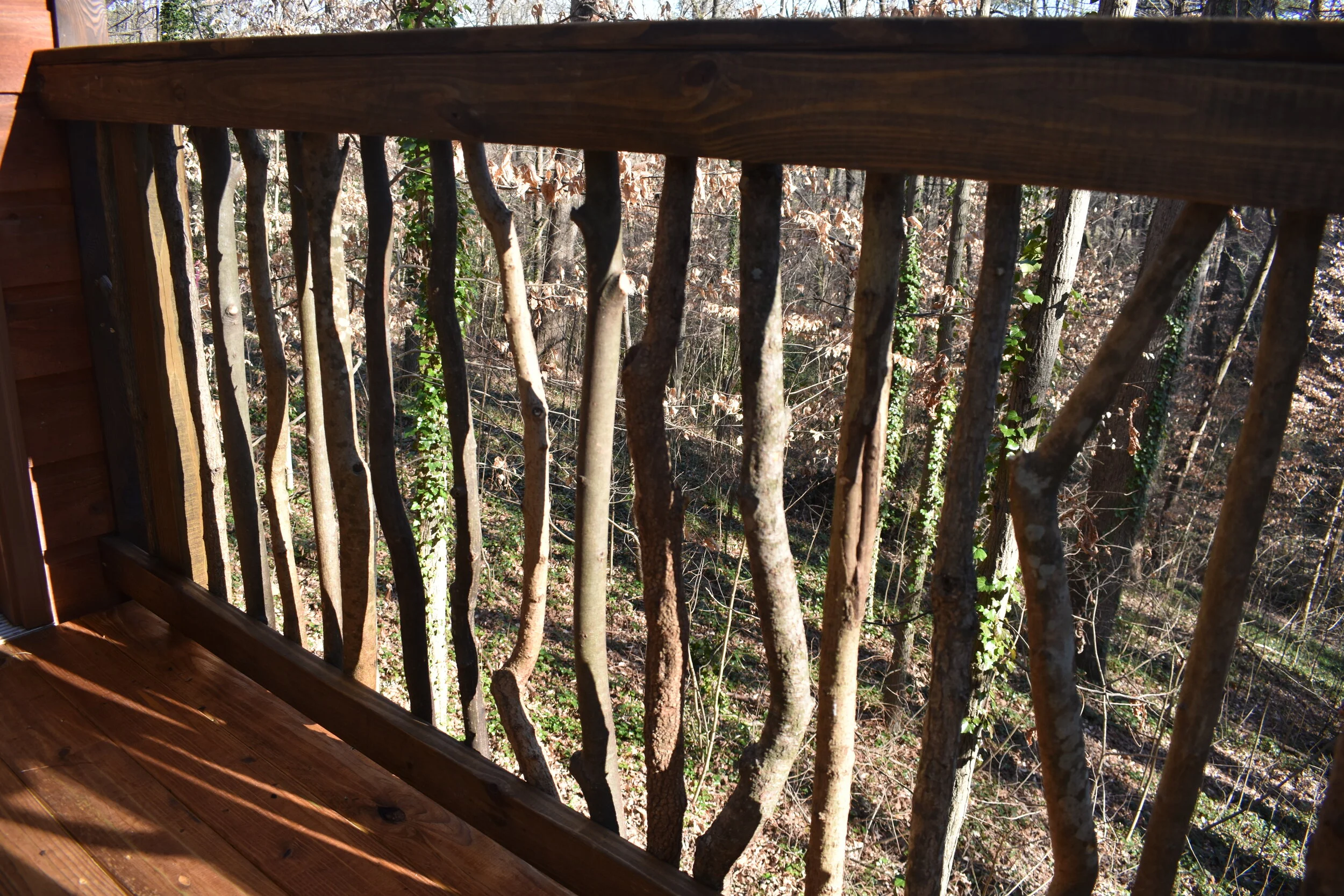 Classic Bridge Access DSC_0010.JPG