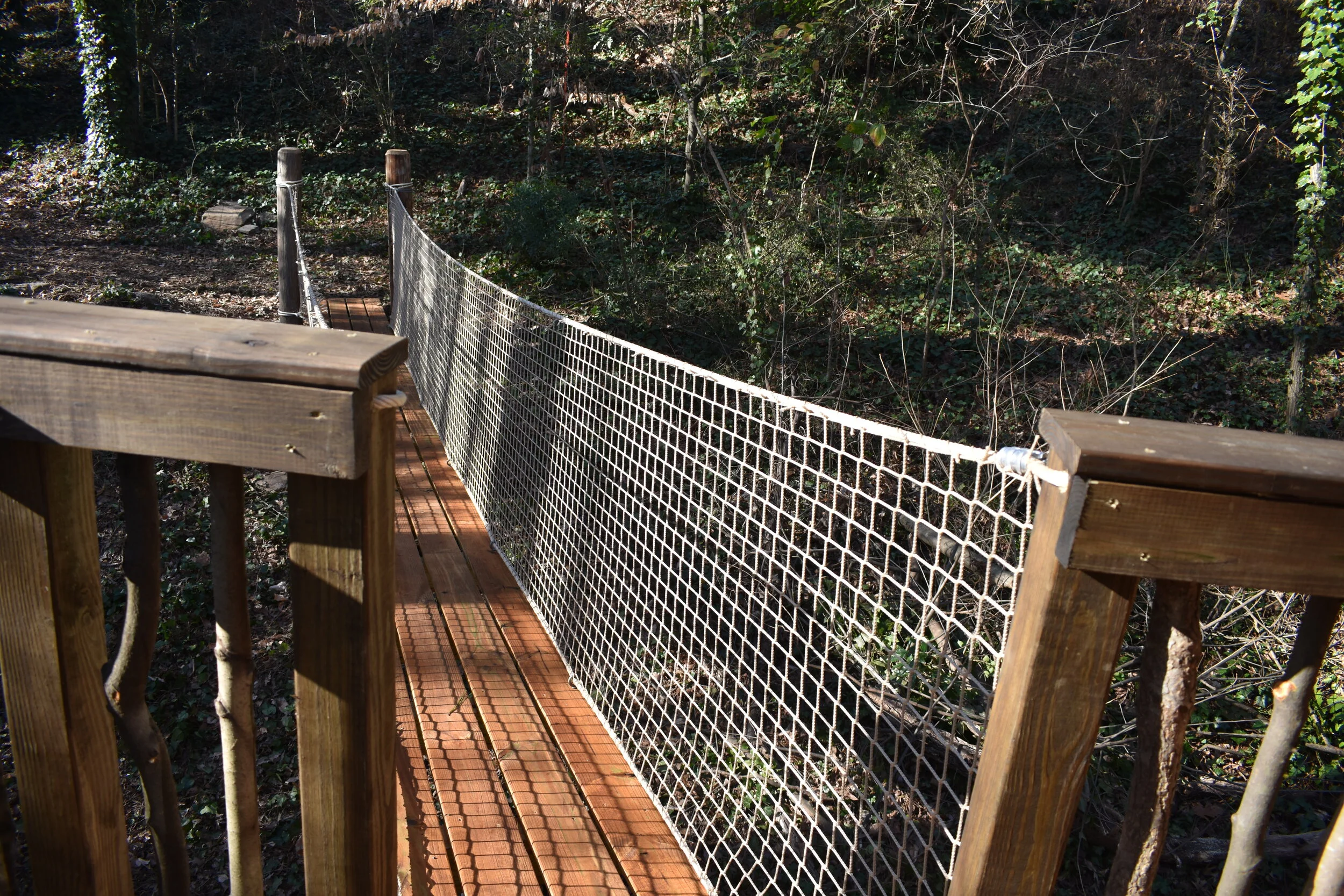 Classic Bridge Access DSC_0012.JPG