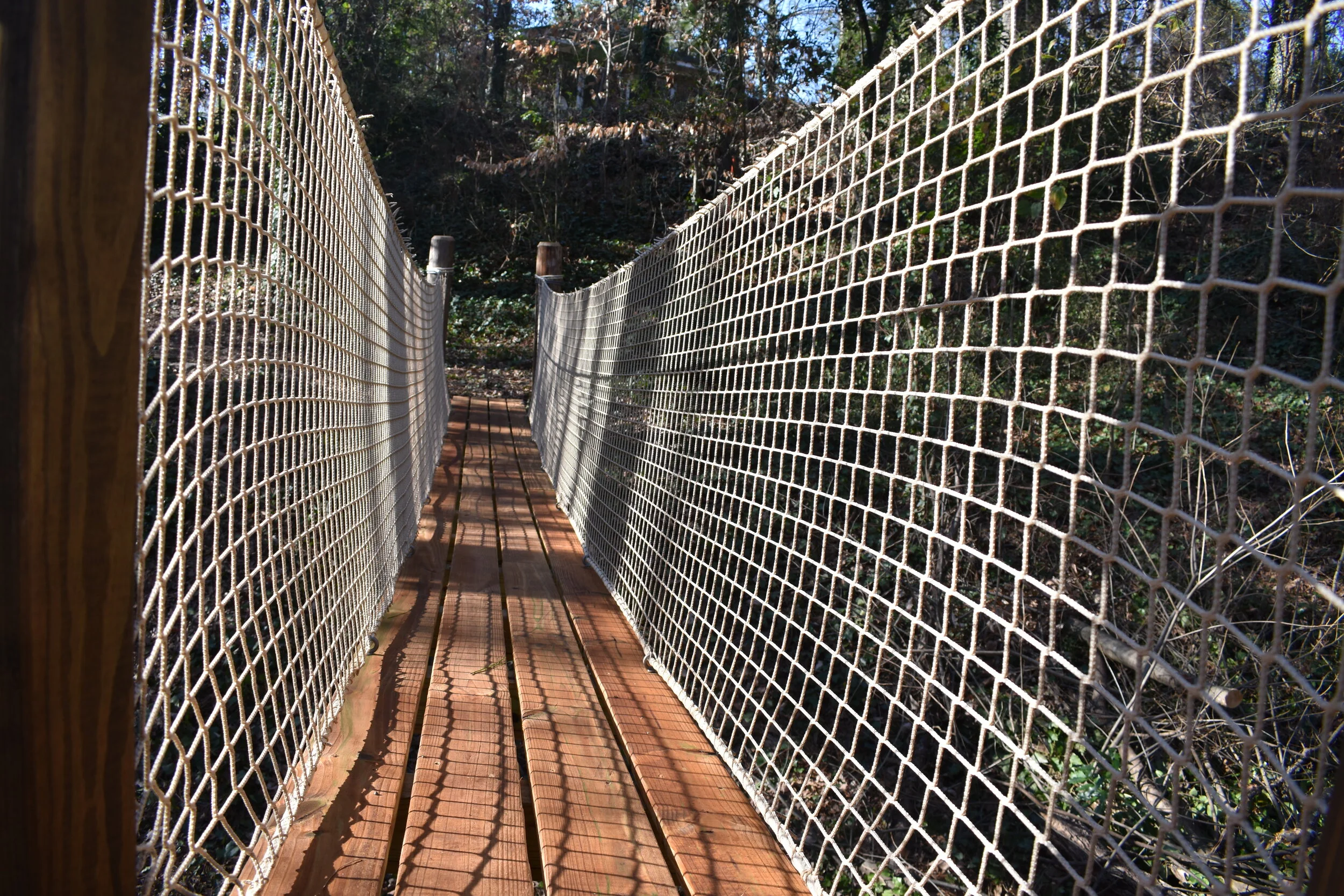 Classic Bridge Access DSC_0013.JPG