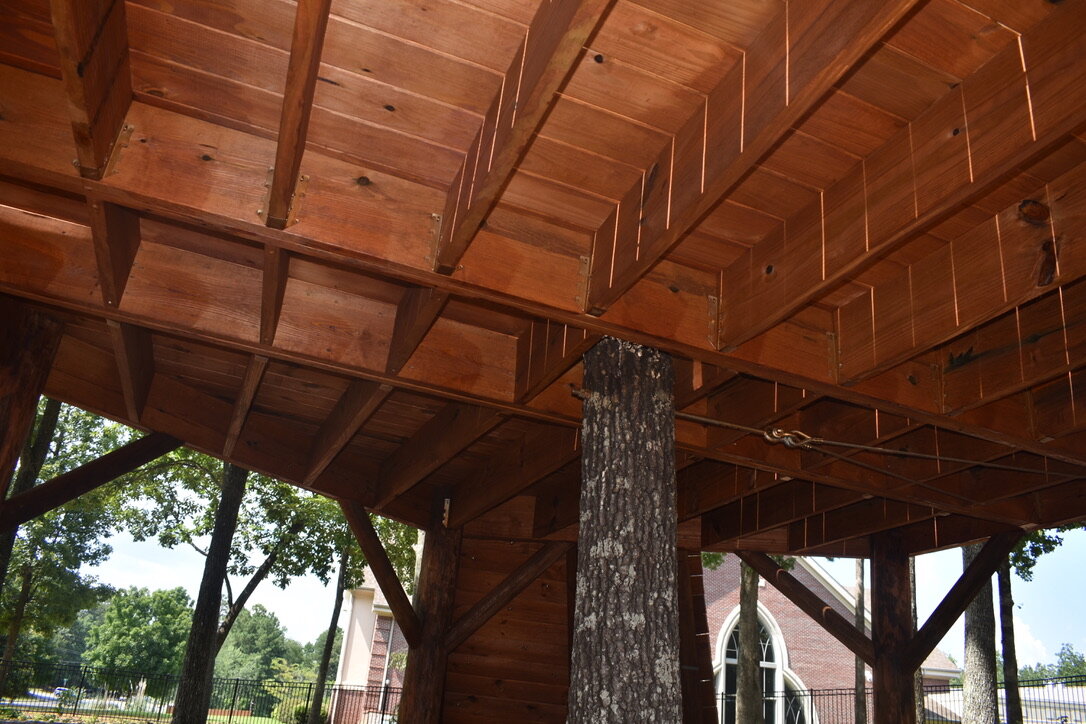 Fulton Academy of Science and Technology UNADJUSTEDNONRAW_thumb_3167.jpg