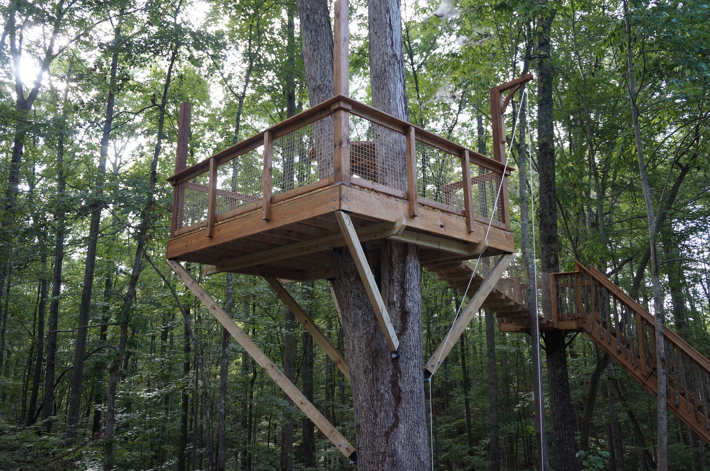 Mountain Platforms DSC05449.JPG