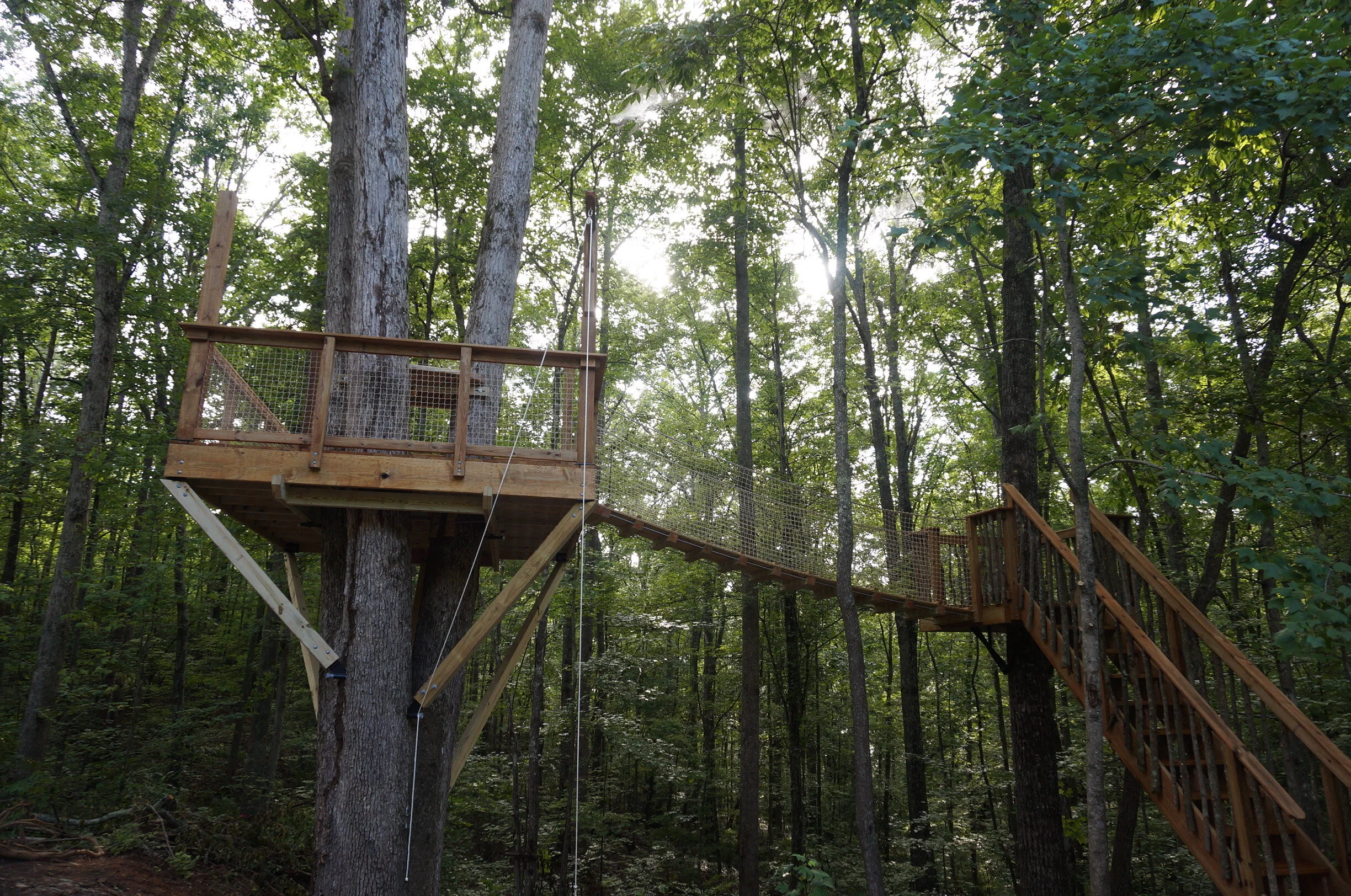 Mountain Platforms DSC05451.JPG