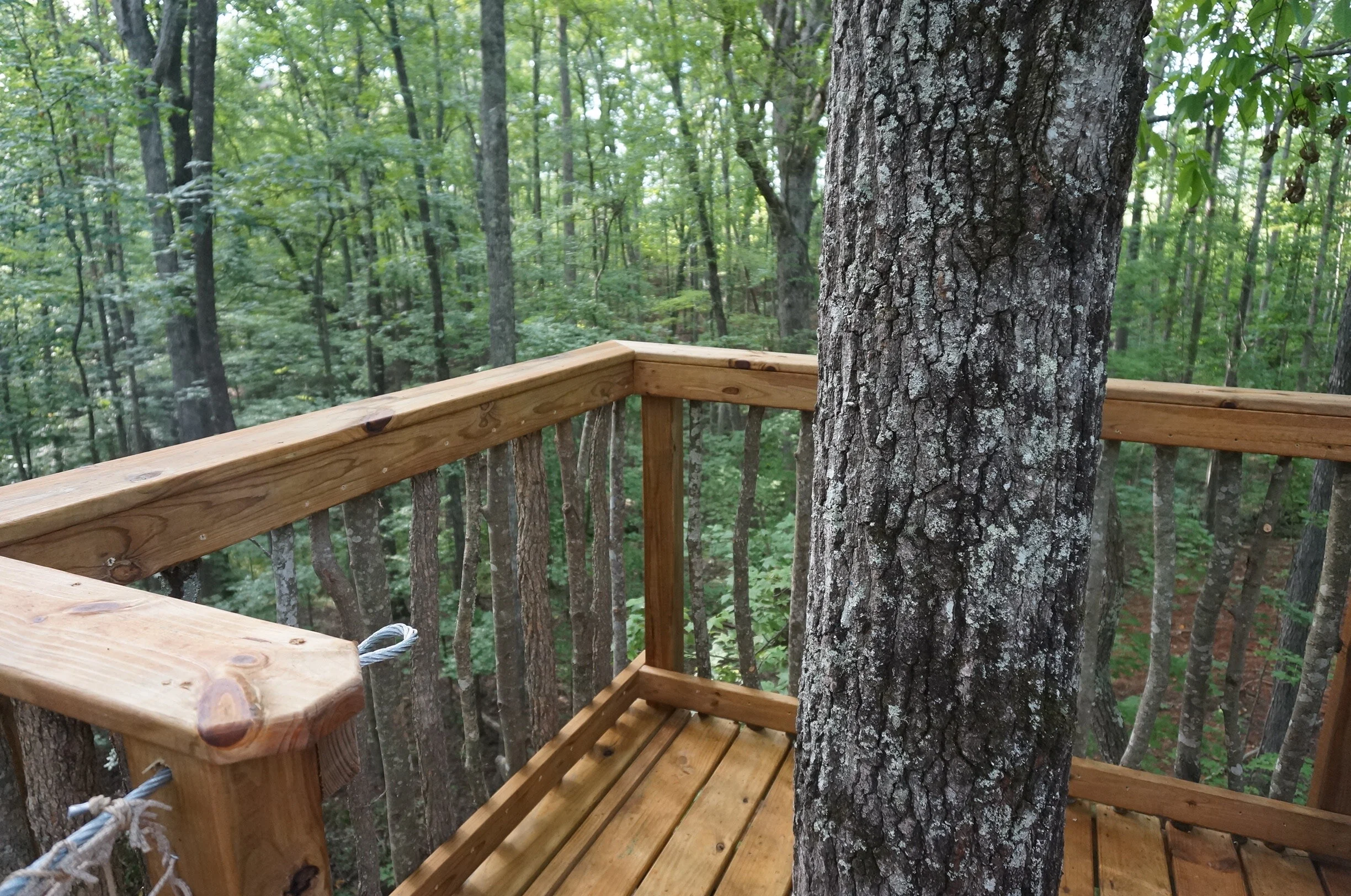 Mountain Platforms DSC05459.JPG