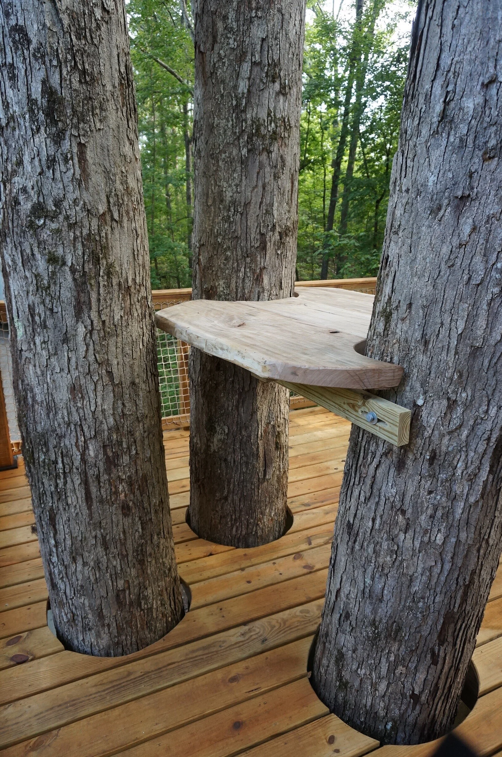 Mountain Platforms DSC05464.JPG