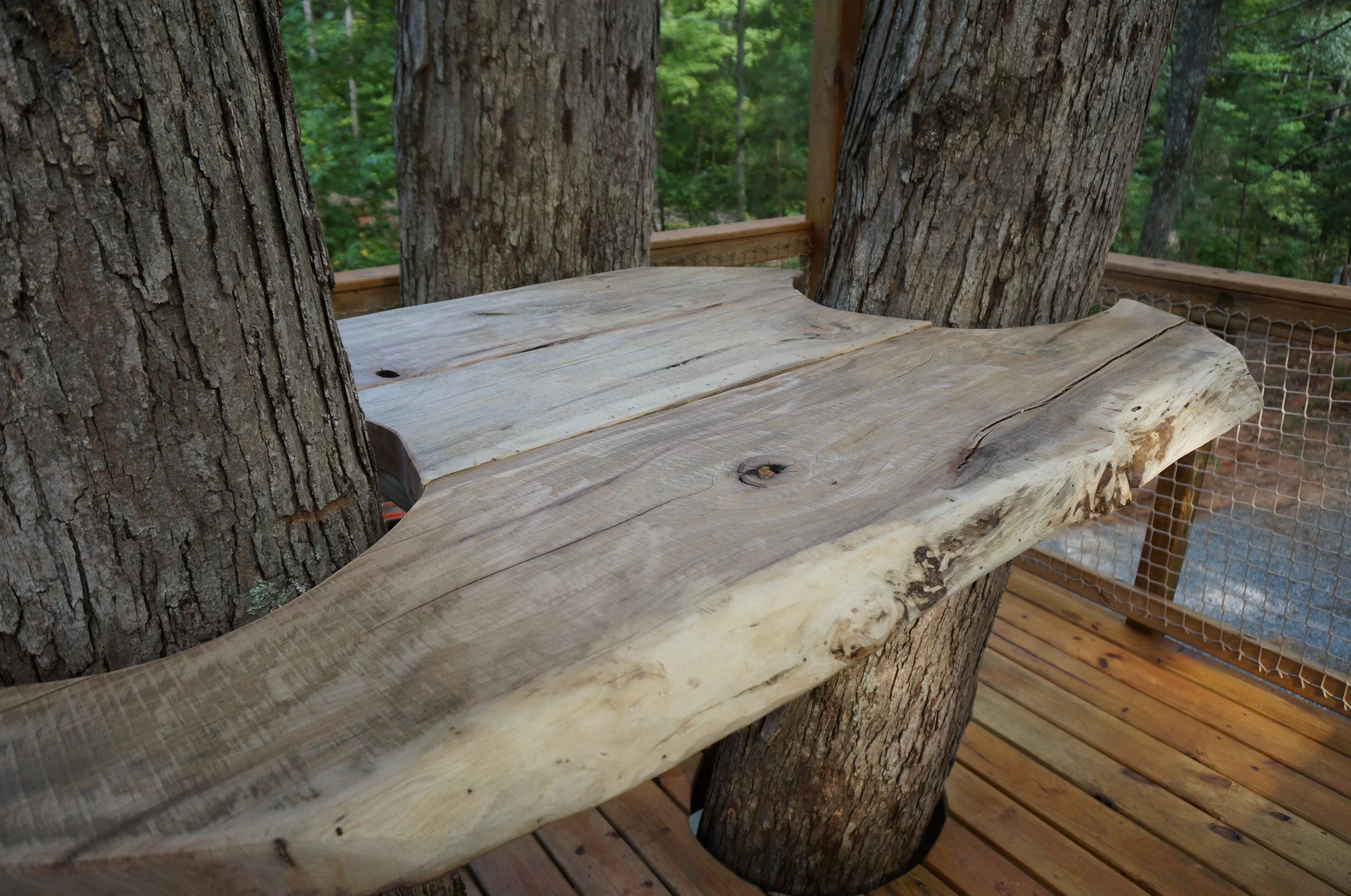 Mountain Platforms DSC05467.JPG