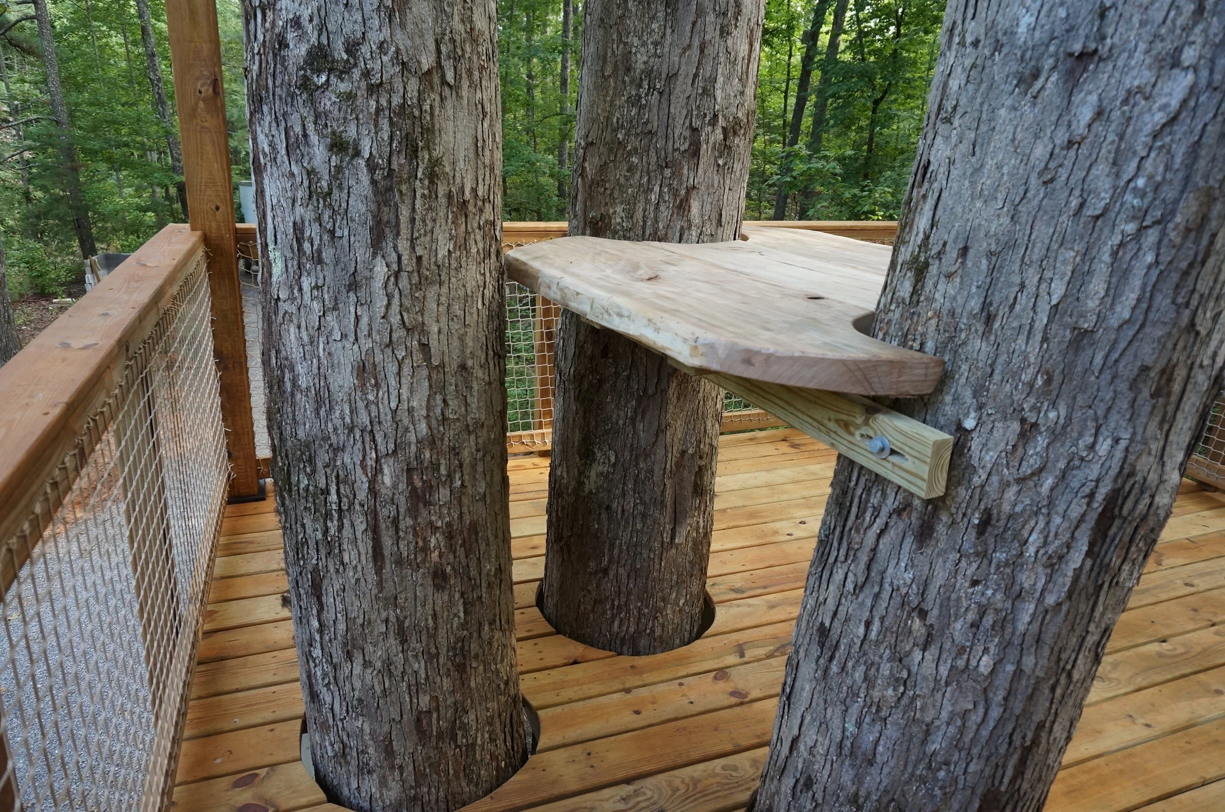 Mountain Platforms DSC05477.JPG