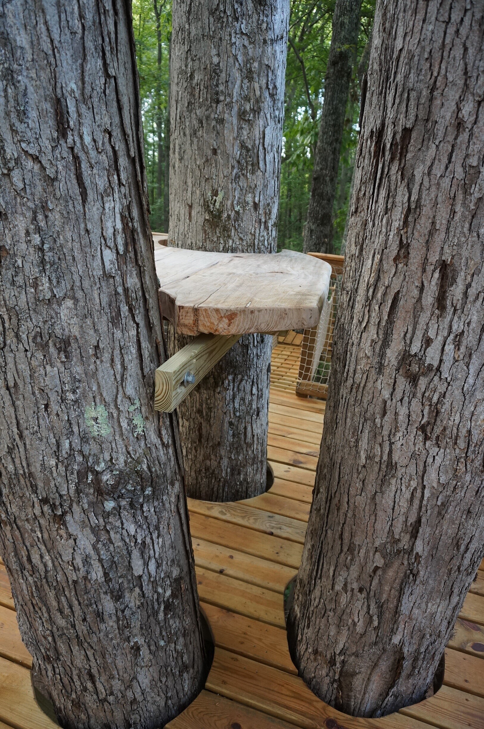 Mountain Platforms DSC05478.JPG