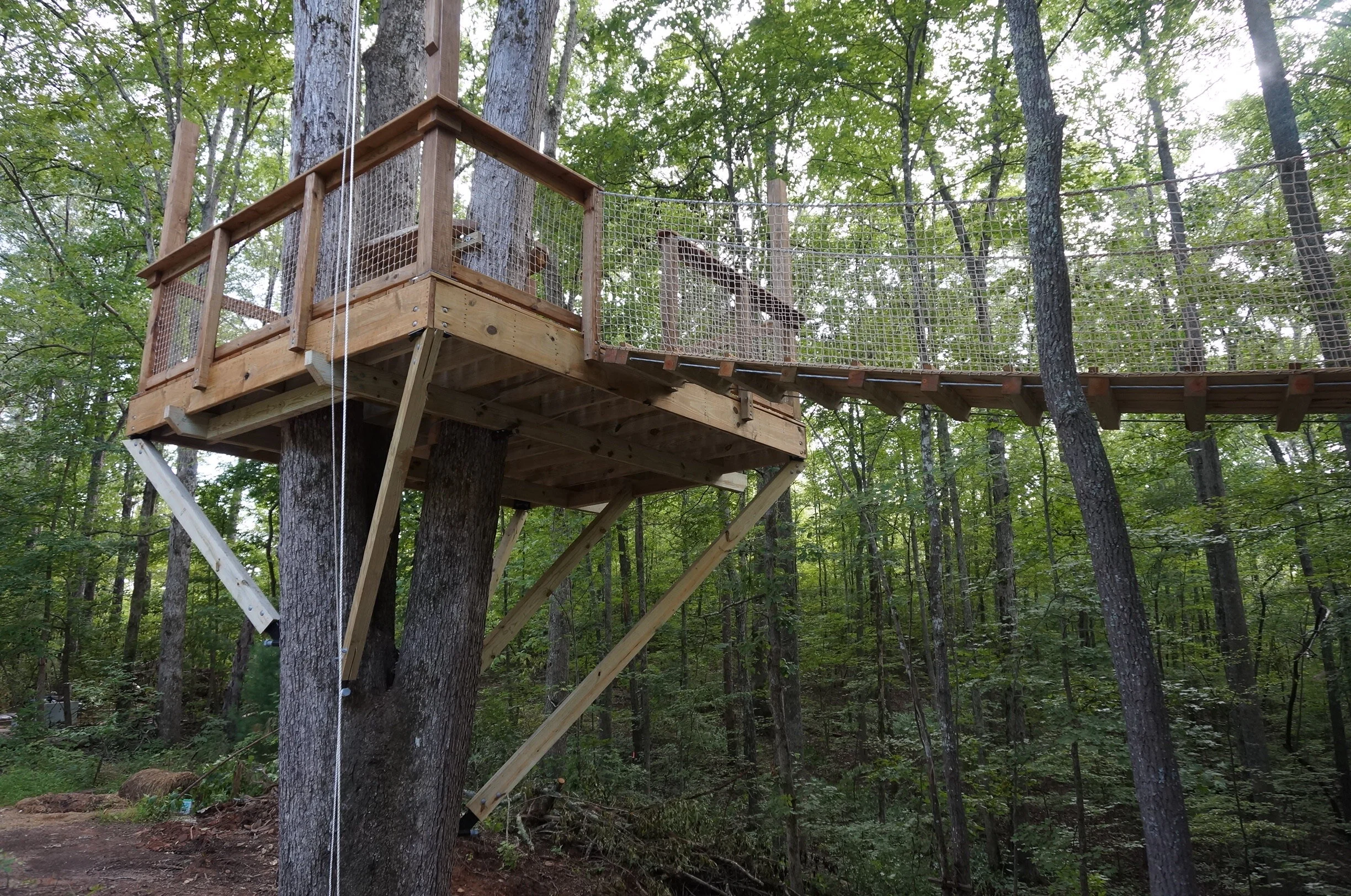 Mountain Platforms DSC05479.JPG