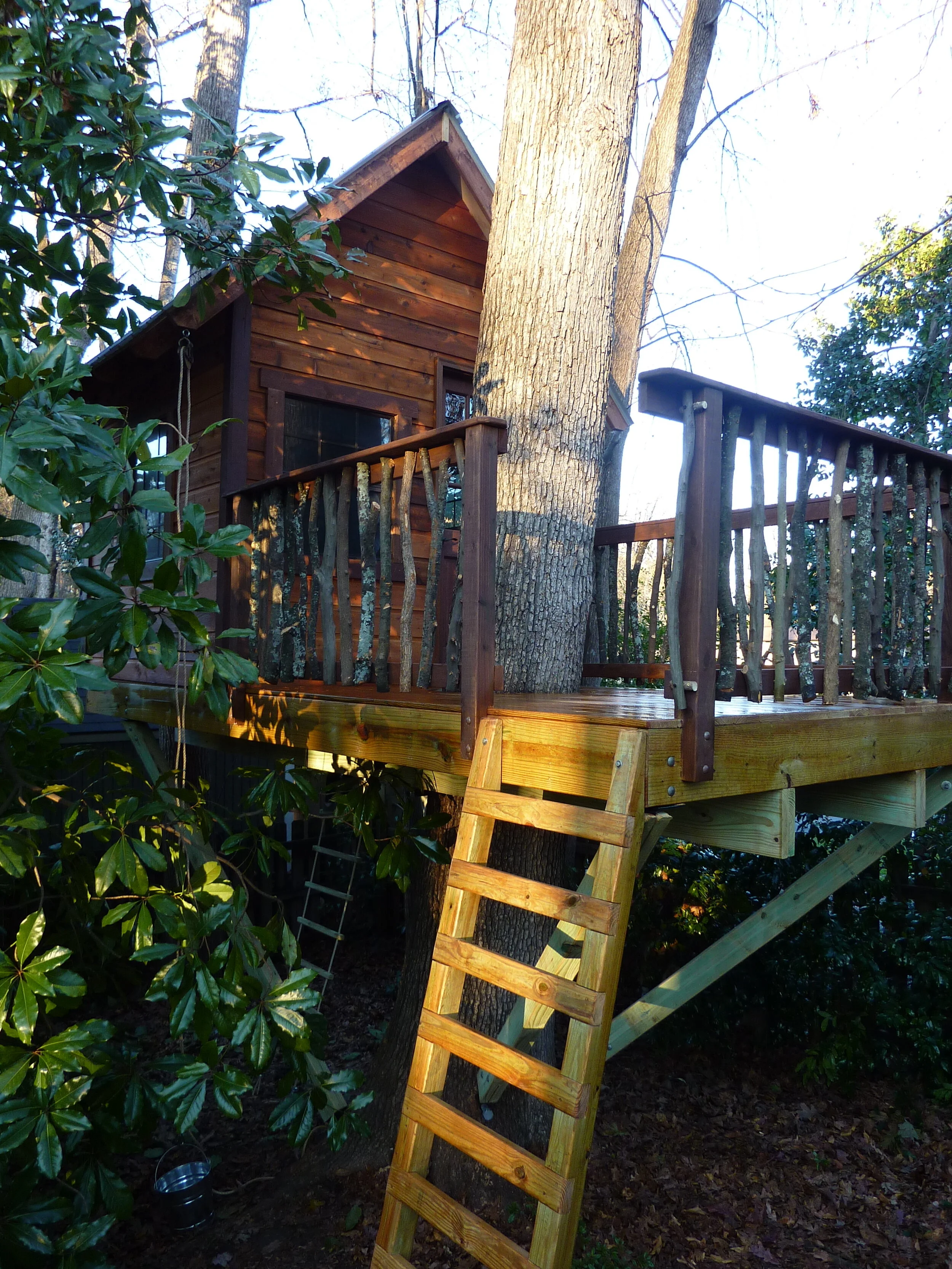 Hidden in the Backyard P1060888.JPG