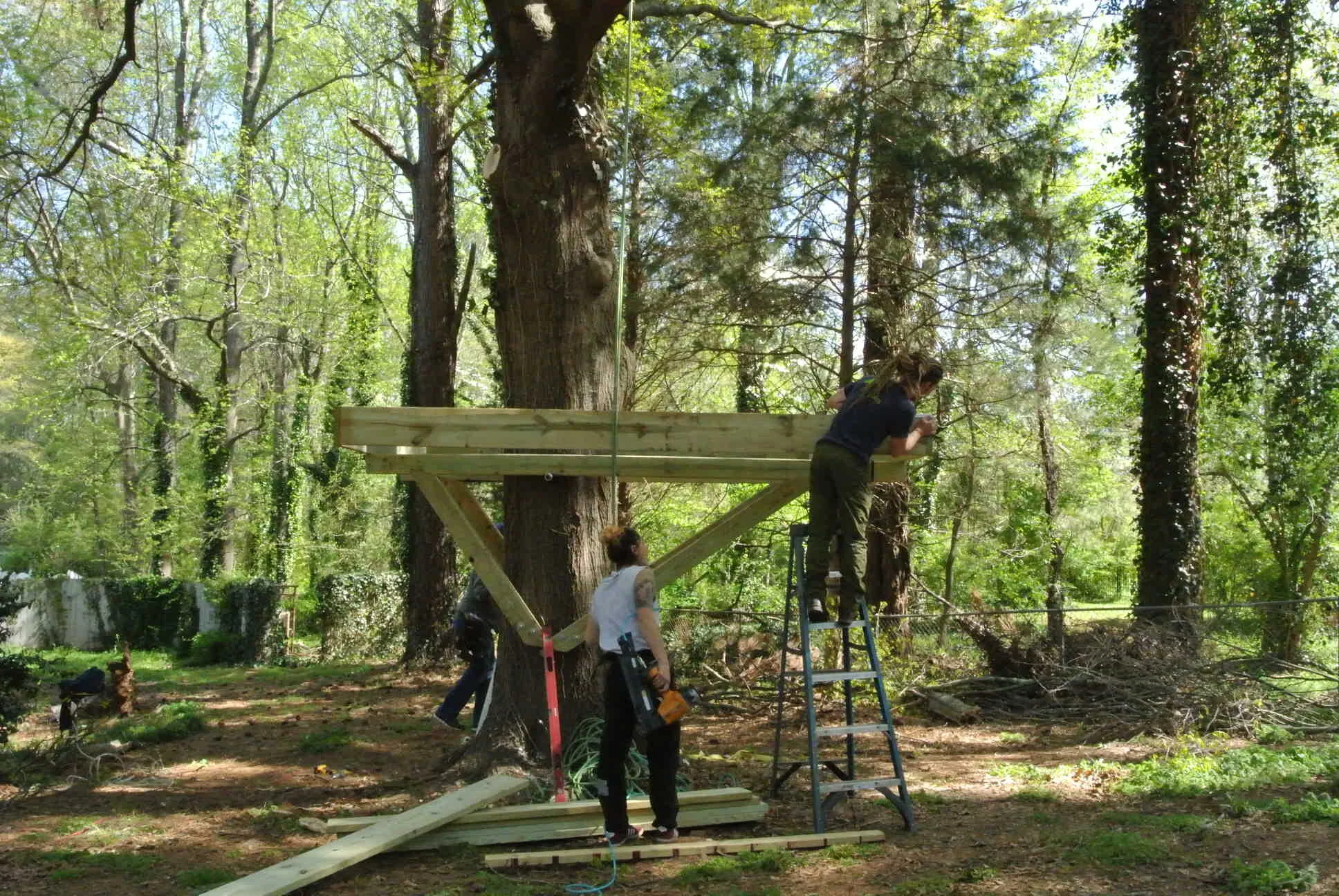 BERT SHOW GIFT TREEHOUSE DSC_5222.JPG