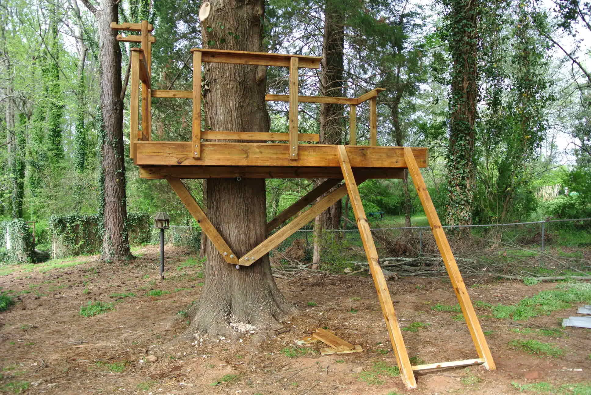 BERT SHOW GIFT TREEHOUSE DSC_5223.JPG