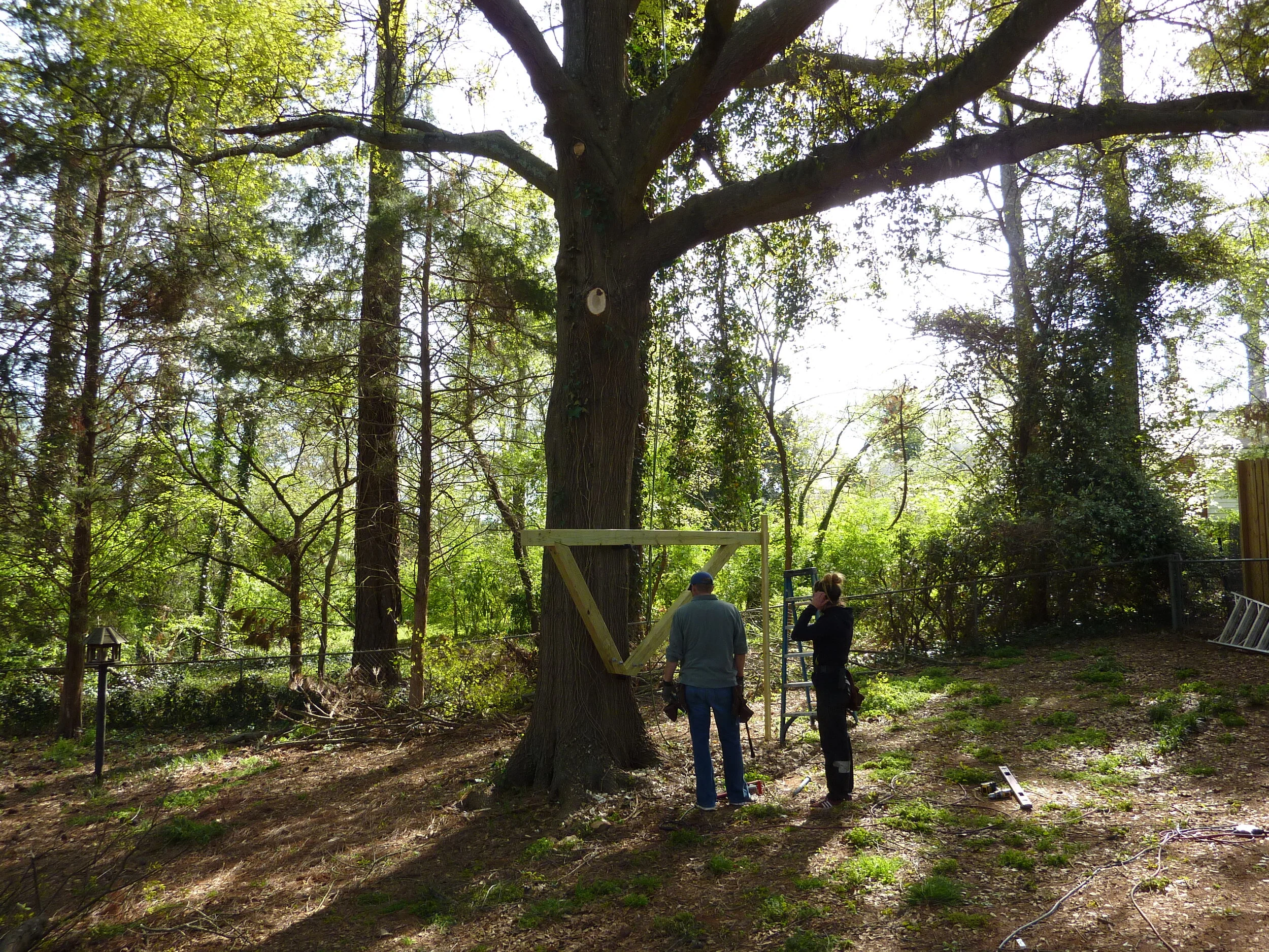 BERT SHOW GIFT TREEHOUSE P1060918.JPG