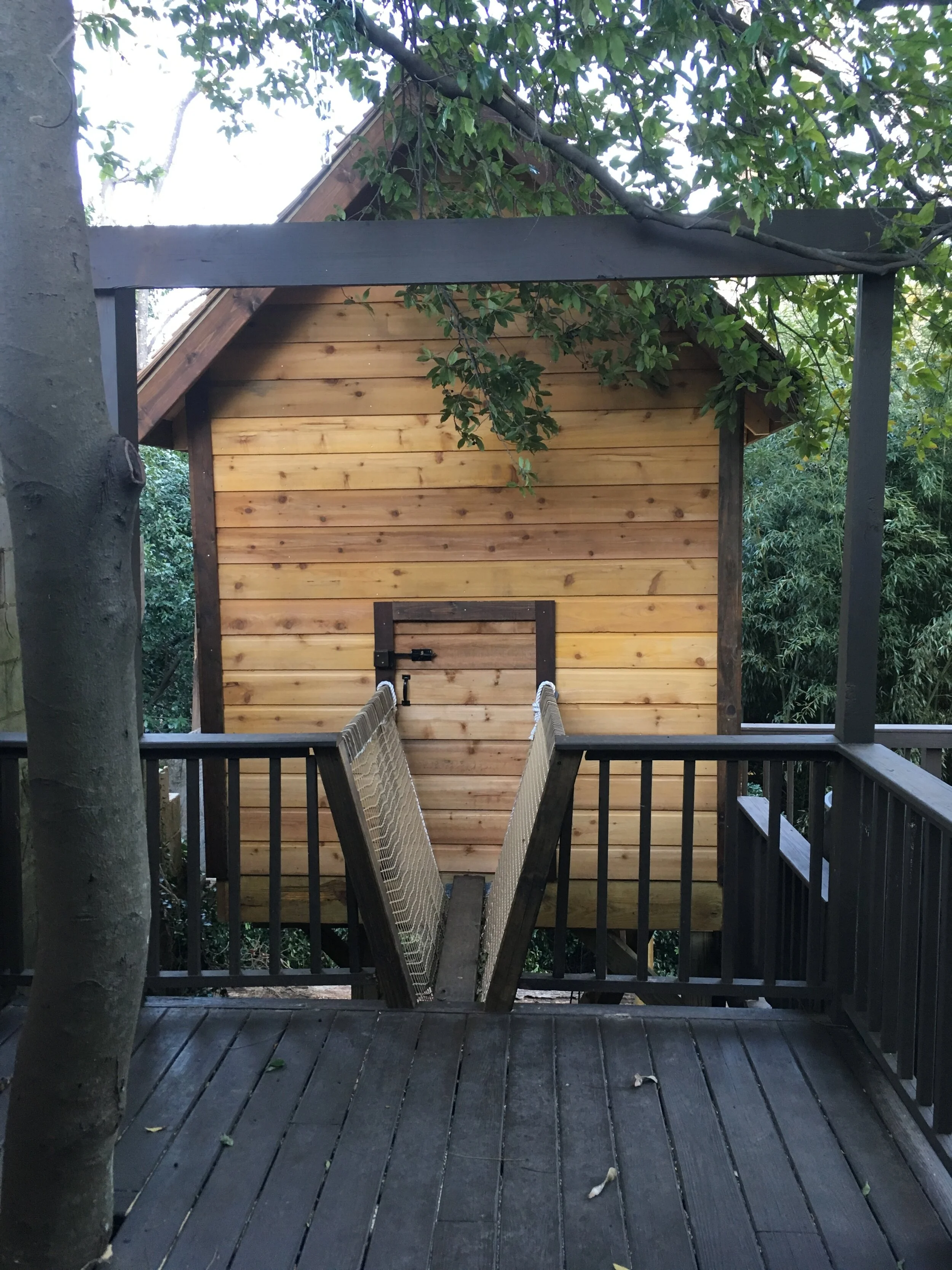 Deck Access IMG_2520.JPG