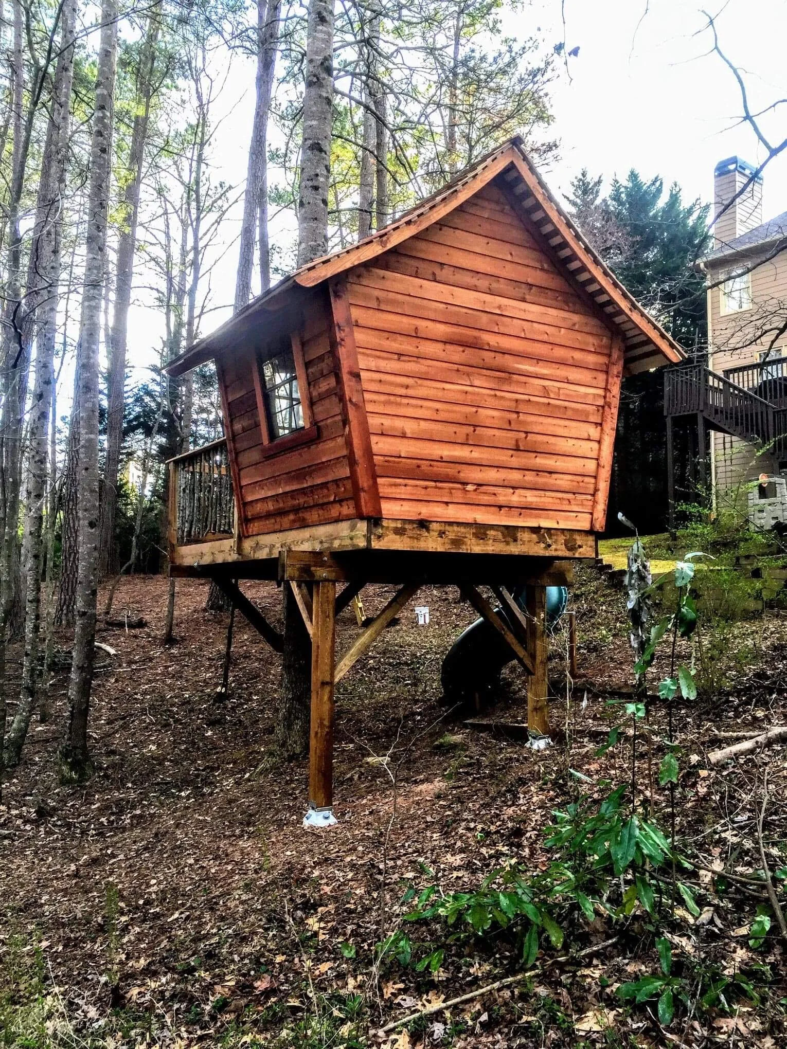 Pretty Whimsical Jolie Whimsical Treehouse Cabane IMG_5448.JPG
