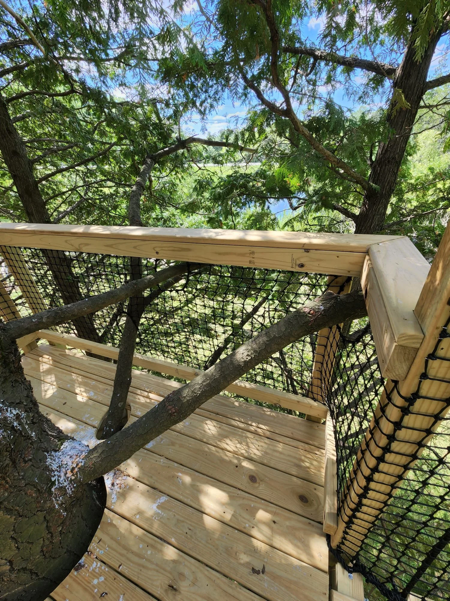 PHOTO-2022-08-02-08-12-05 2.jpg