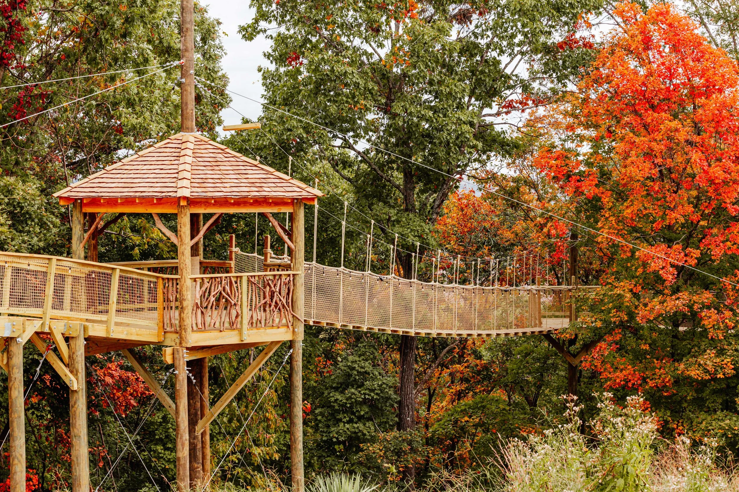 Treetop Sky Trail - Shepherd of the Hills - Missouri — Treehouse ...