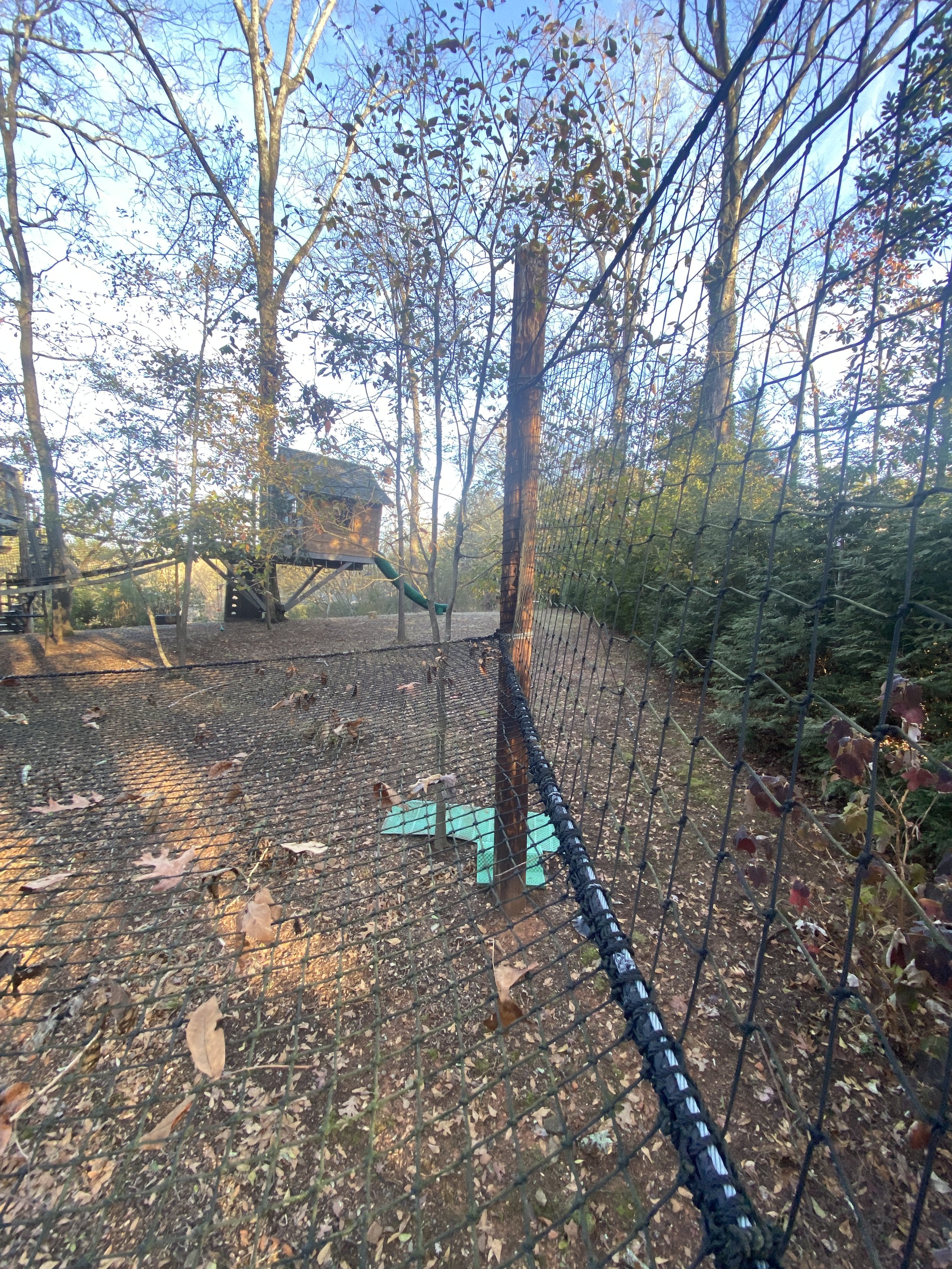 Backyard Walking Net — Treehouse Experts LLC