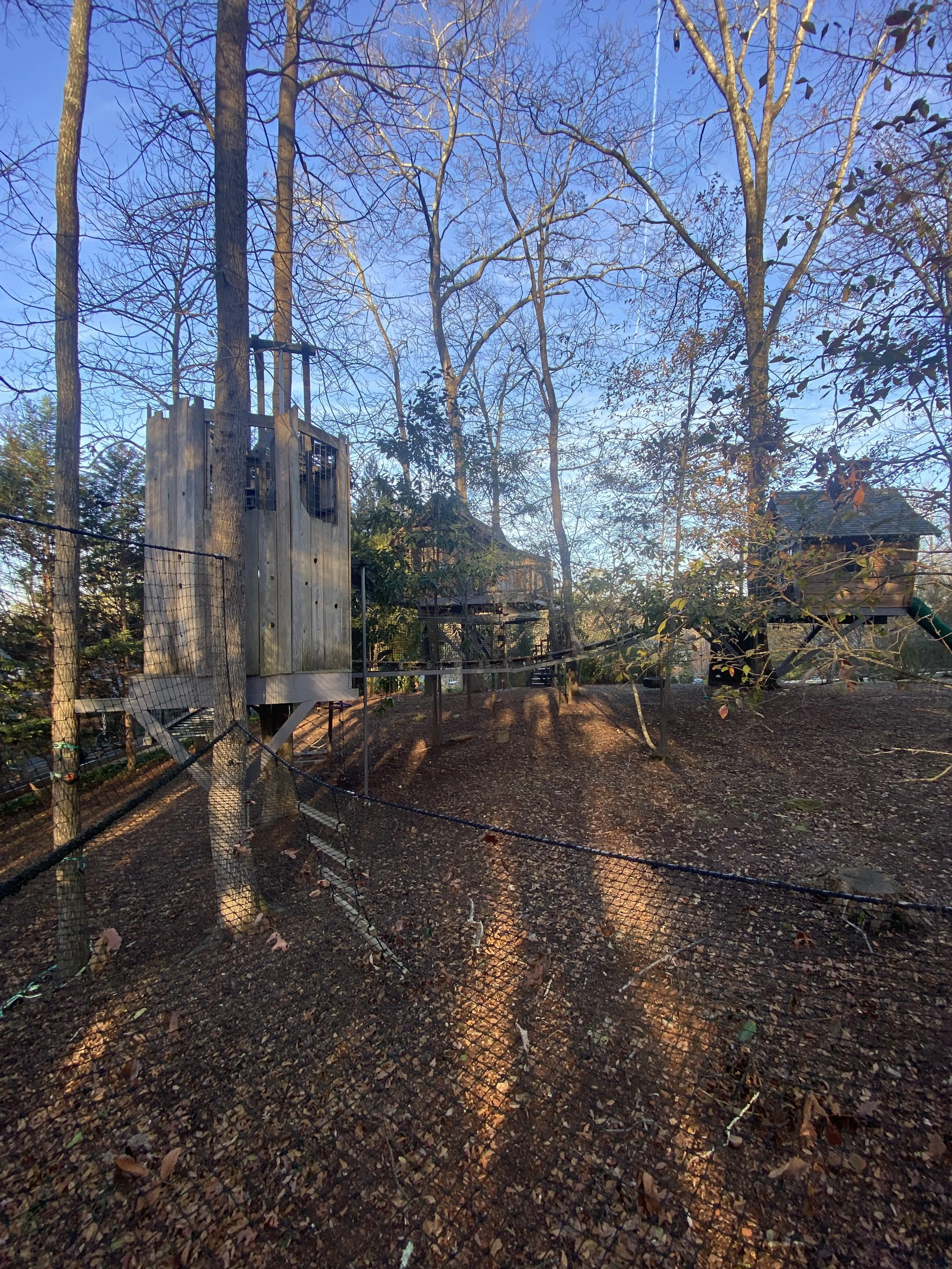 Backyard Walking Net — Treehouse Experts LLC