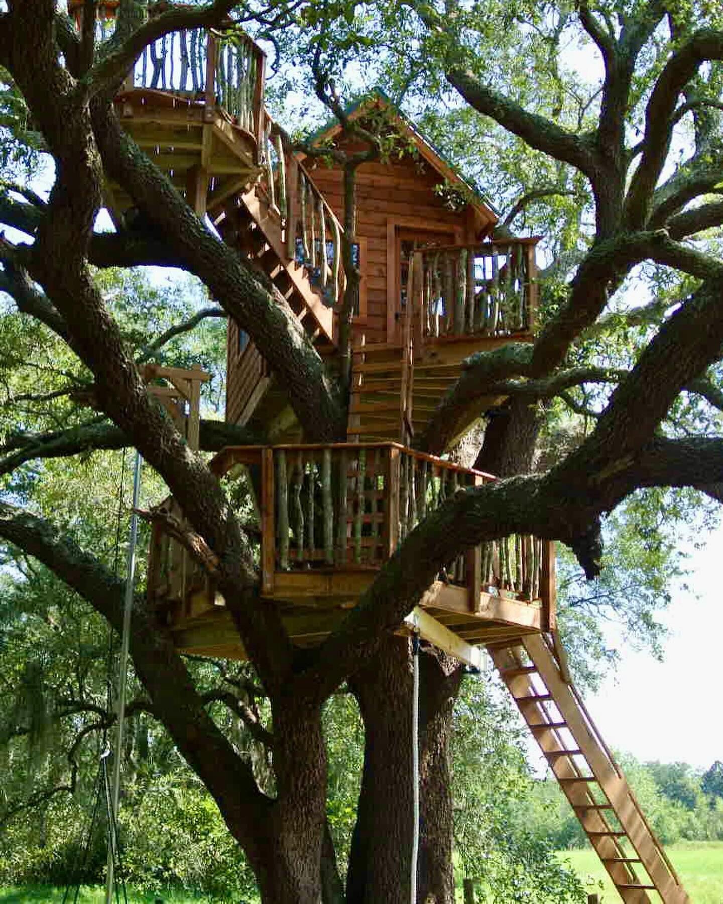 We often get request to make our treehouses seamlessly blend in with the trees. How did we do? 😊

#georgia #treehousemagic #magictree #treehouselover #worldtreehouses #treehouselife #treefort #kidstreehouse #treehousebuilder #treehouseexperts #treeh