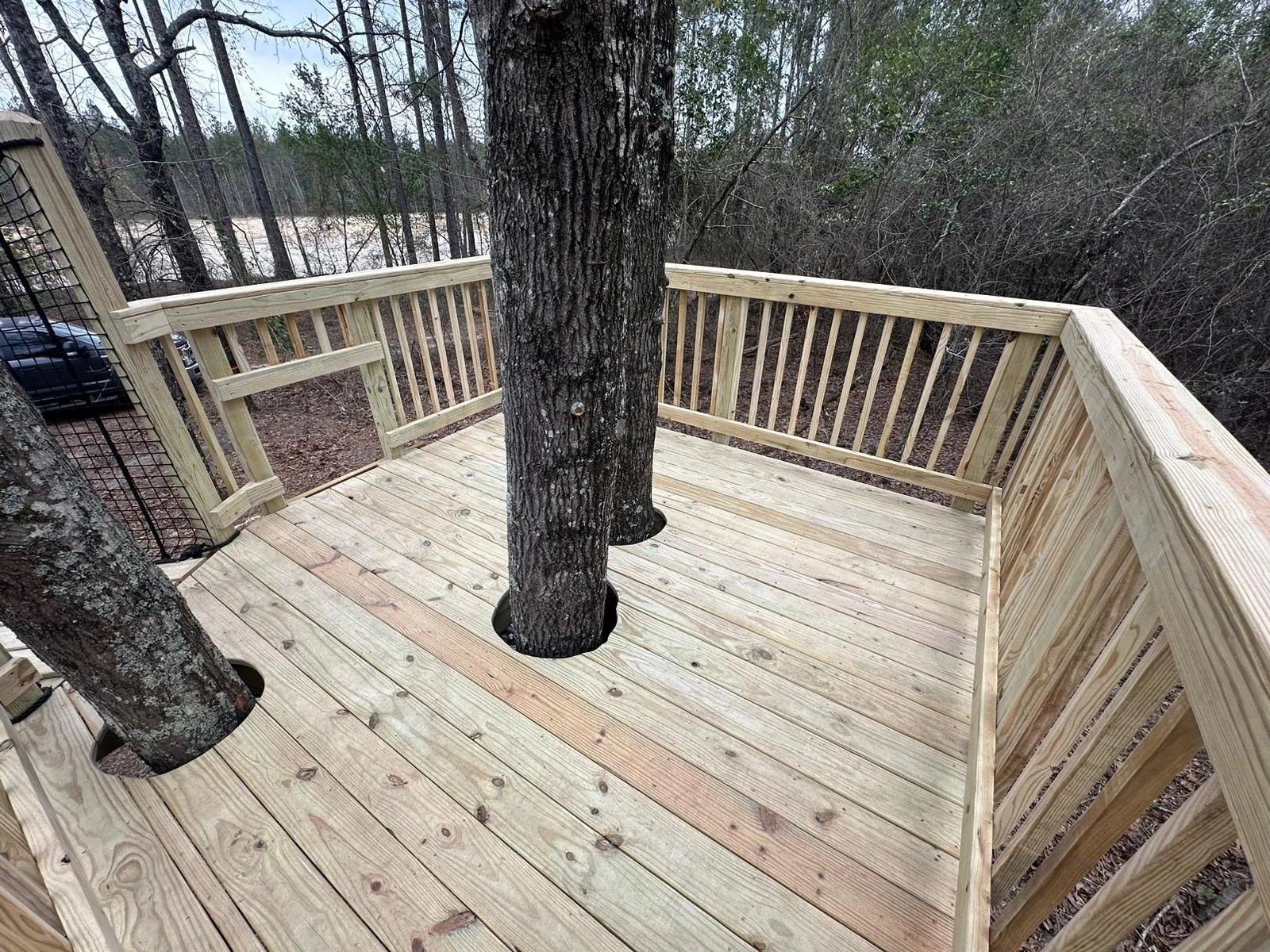 PHOTO-2024-02-27-15-39-27 2.jpg