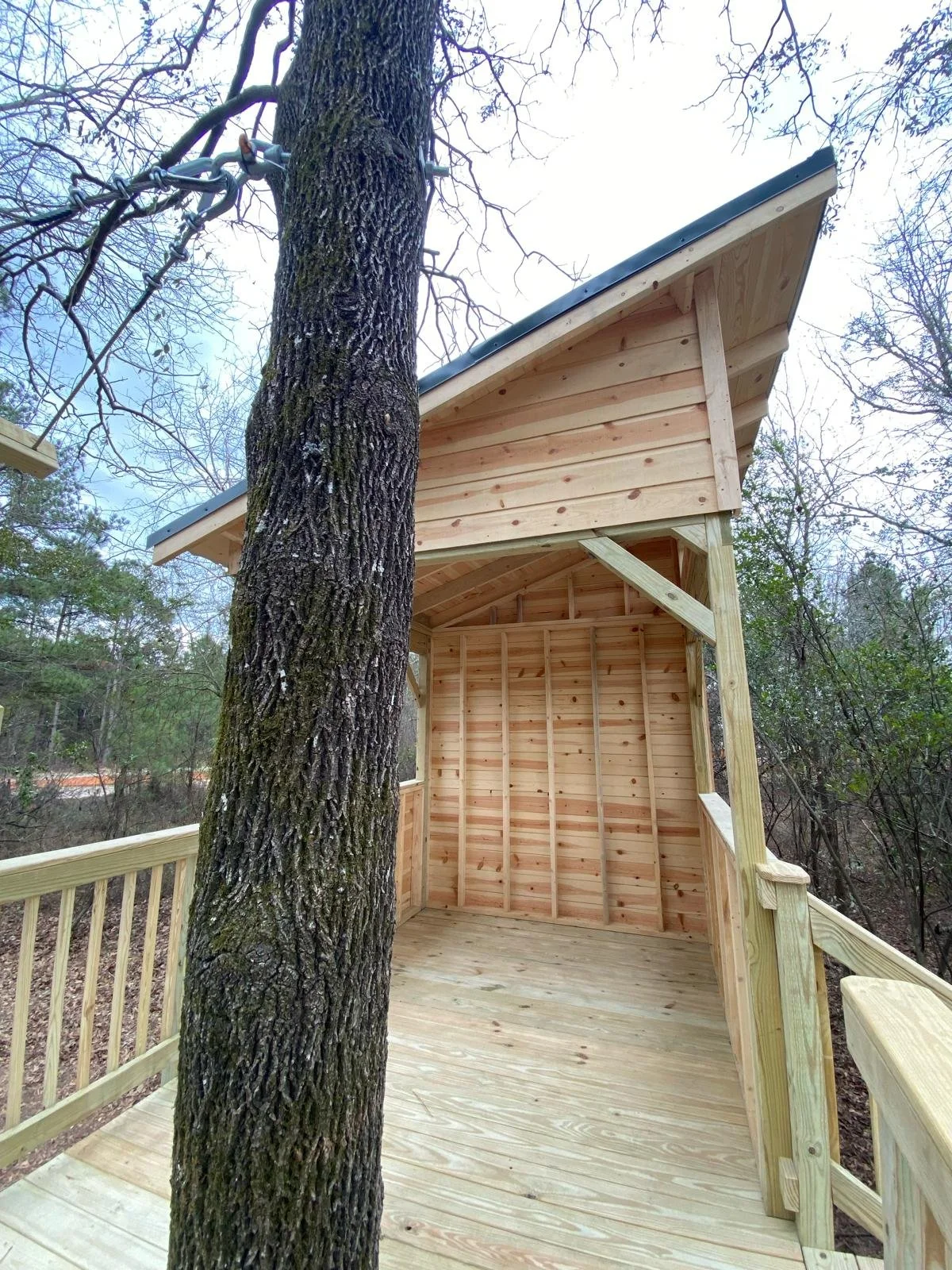 PHOTO-2024-02-28-09-05-56 2.jpg