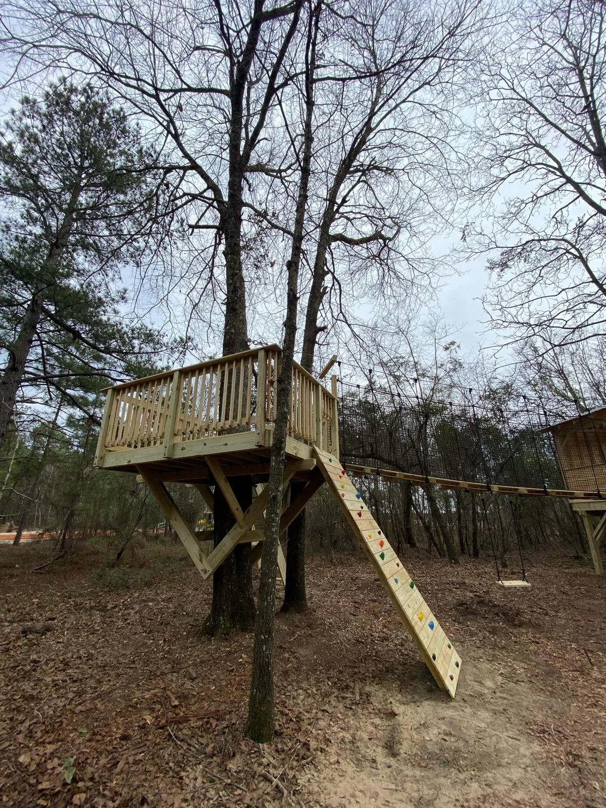 PHOTO-2024-02-28-09-05-58 2.jpg