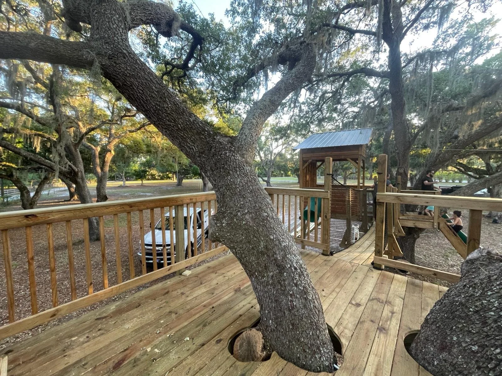 PHOTO-2024-04-04-19-21-45 4.jpg