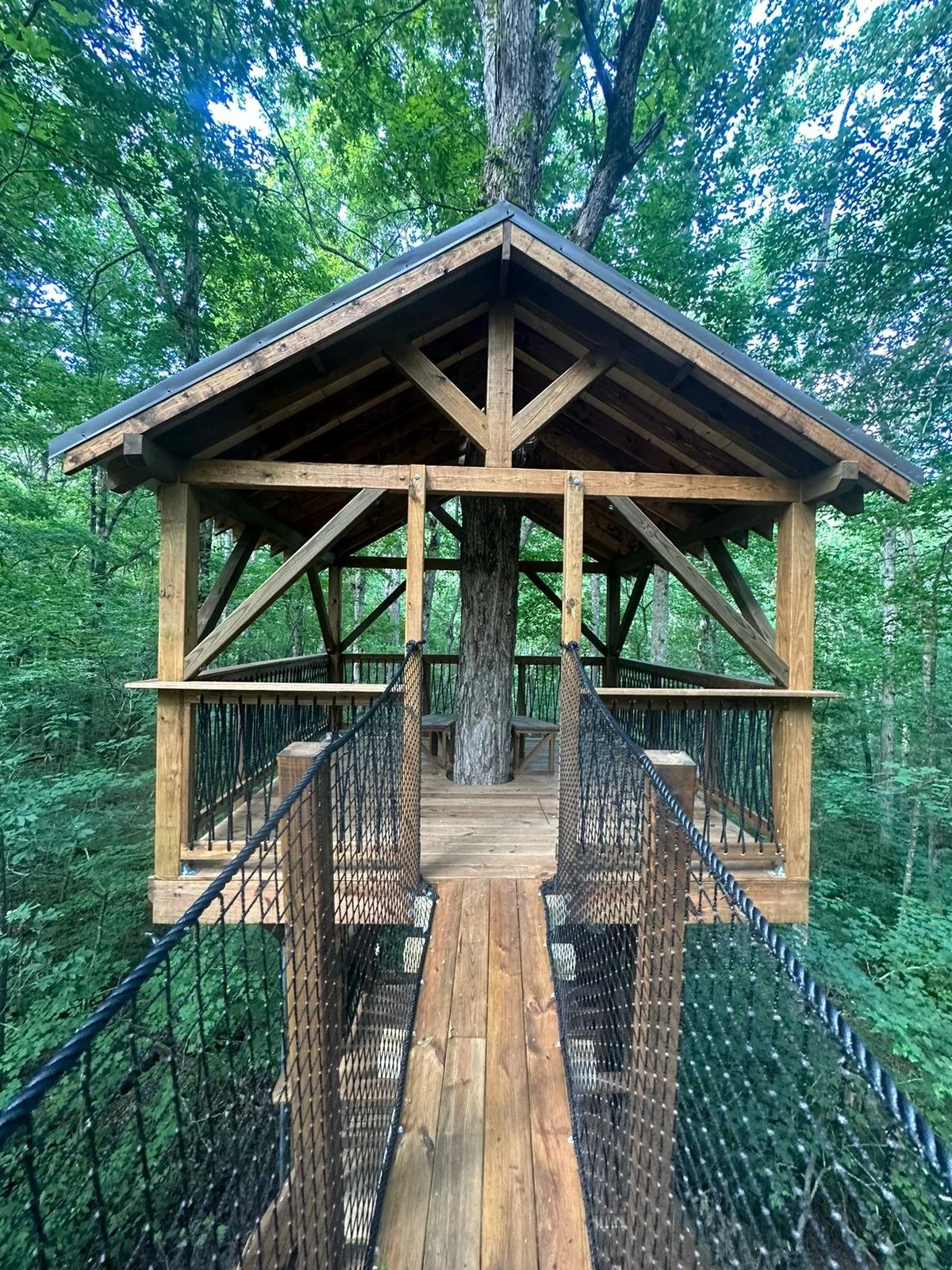 Platform — Treehouse Experts LLC
