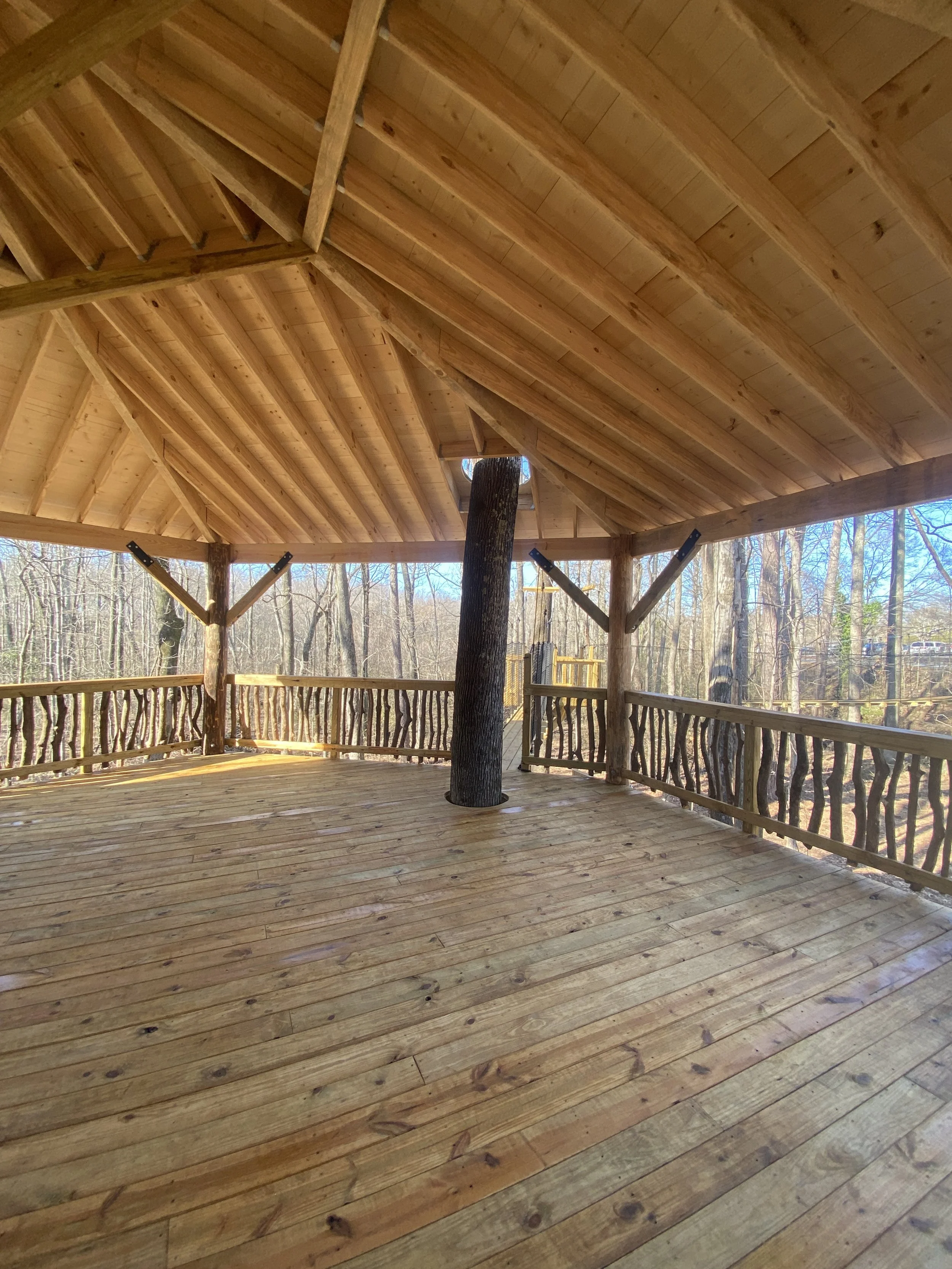 DJI_20250114_143356_141.JPG