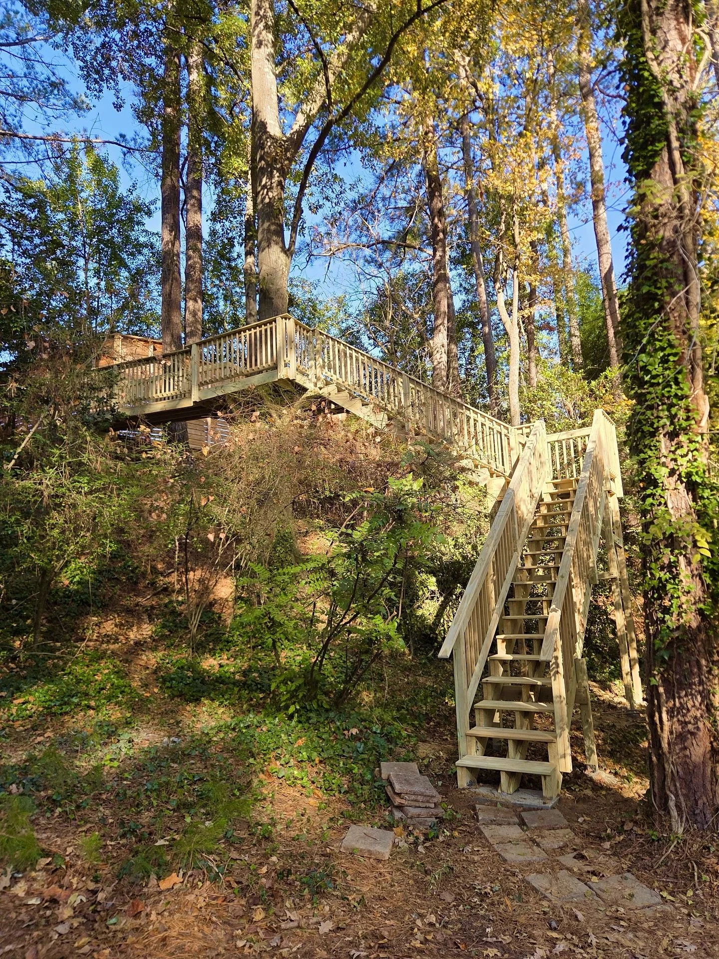 Completed and ready for the view it was built for 🌳

#treehouseexperts #treehousebuilders #staircase #elevatedplatform #platform #carpentryskills #carpentrylife