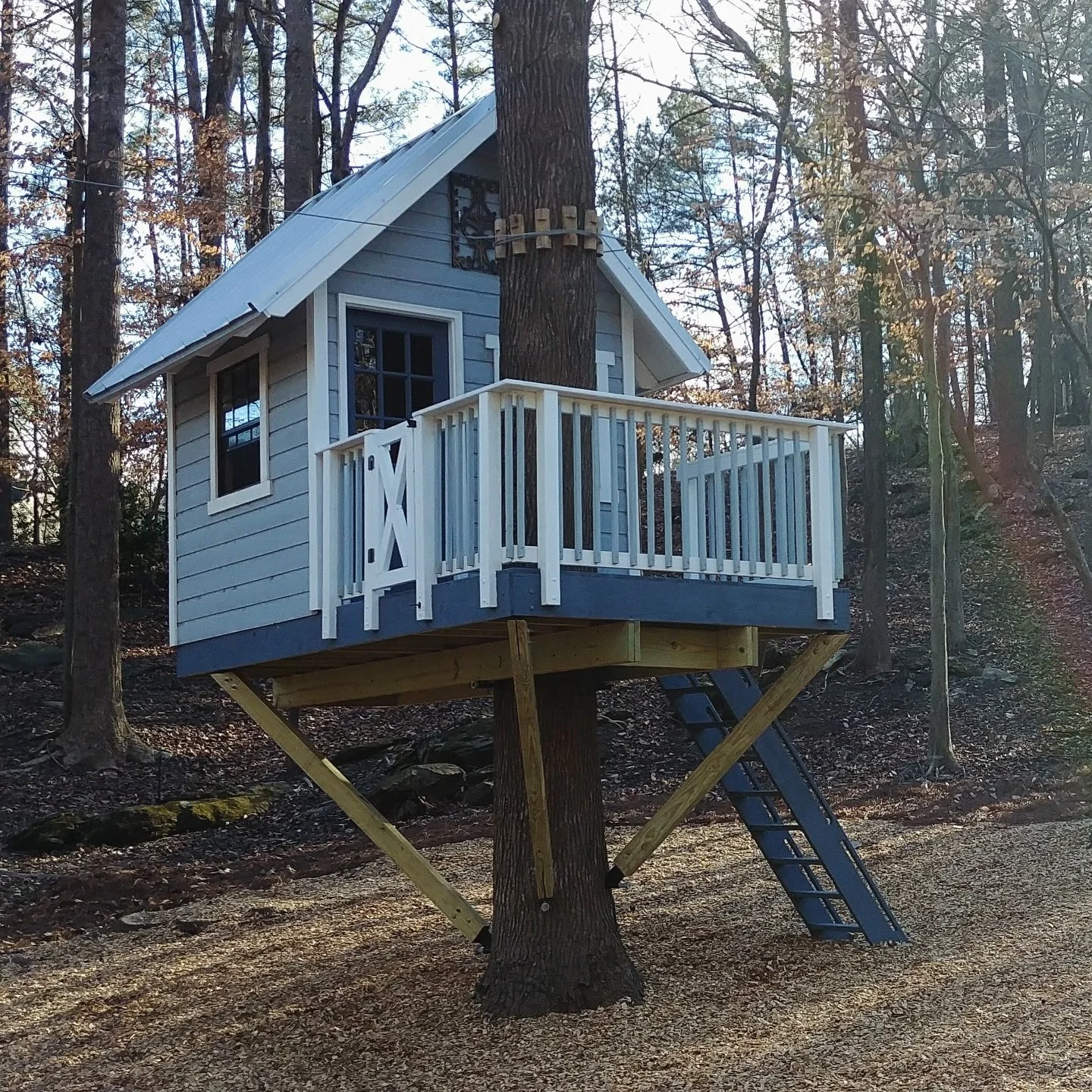 Proof that childhood dreams come in Bluebird blue 🐦💙

#kidstreehouse #treehousebuilding #treehouseconstruction #customtreehouse #treehousebuilder