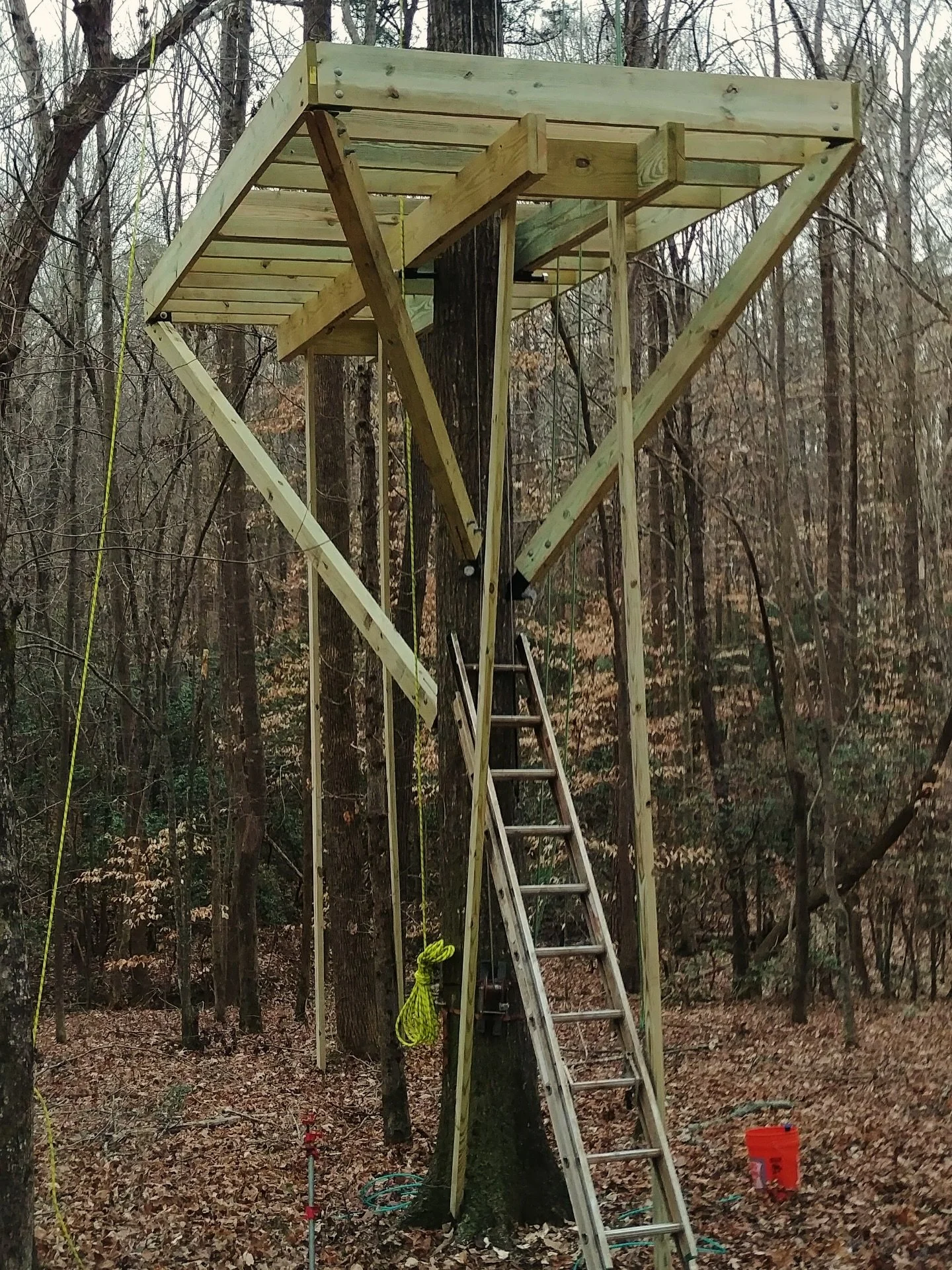Perched extra high in the canopy, this treehouse has views for days ➡️swipe to see how it turned out! 

#suspended #treehousebuilders #customtreehouse #backyardtreehouse #realtreehouses