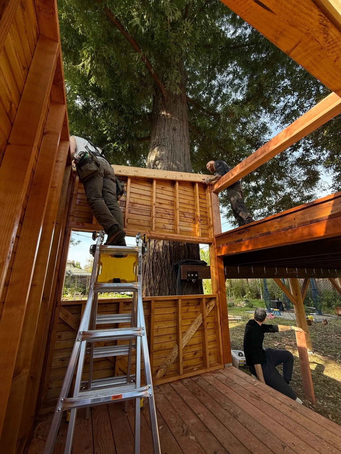 Making progress under the California sun ☀️Swipe to see the how this build is evolving and stay tuned for all the fun add-ons to come!

#californiatreehouse #treehousebuilders #travelingcarpenter #kidstreehouse #backyardtreehouse