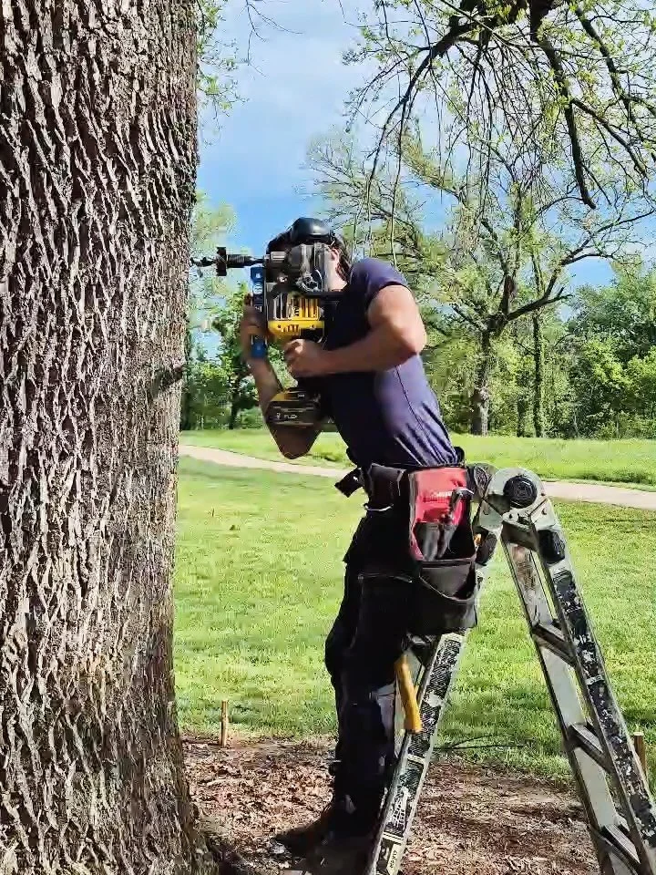 The start of a special playground for the Bluebird Trailhead and Sculpture Park. This one is not your typical park playground &ndash; stay tuned to see why. 😉

#parkplayground #treehouseplayground #treehouseconstruction #treehouseexperts #treehouseb