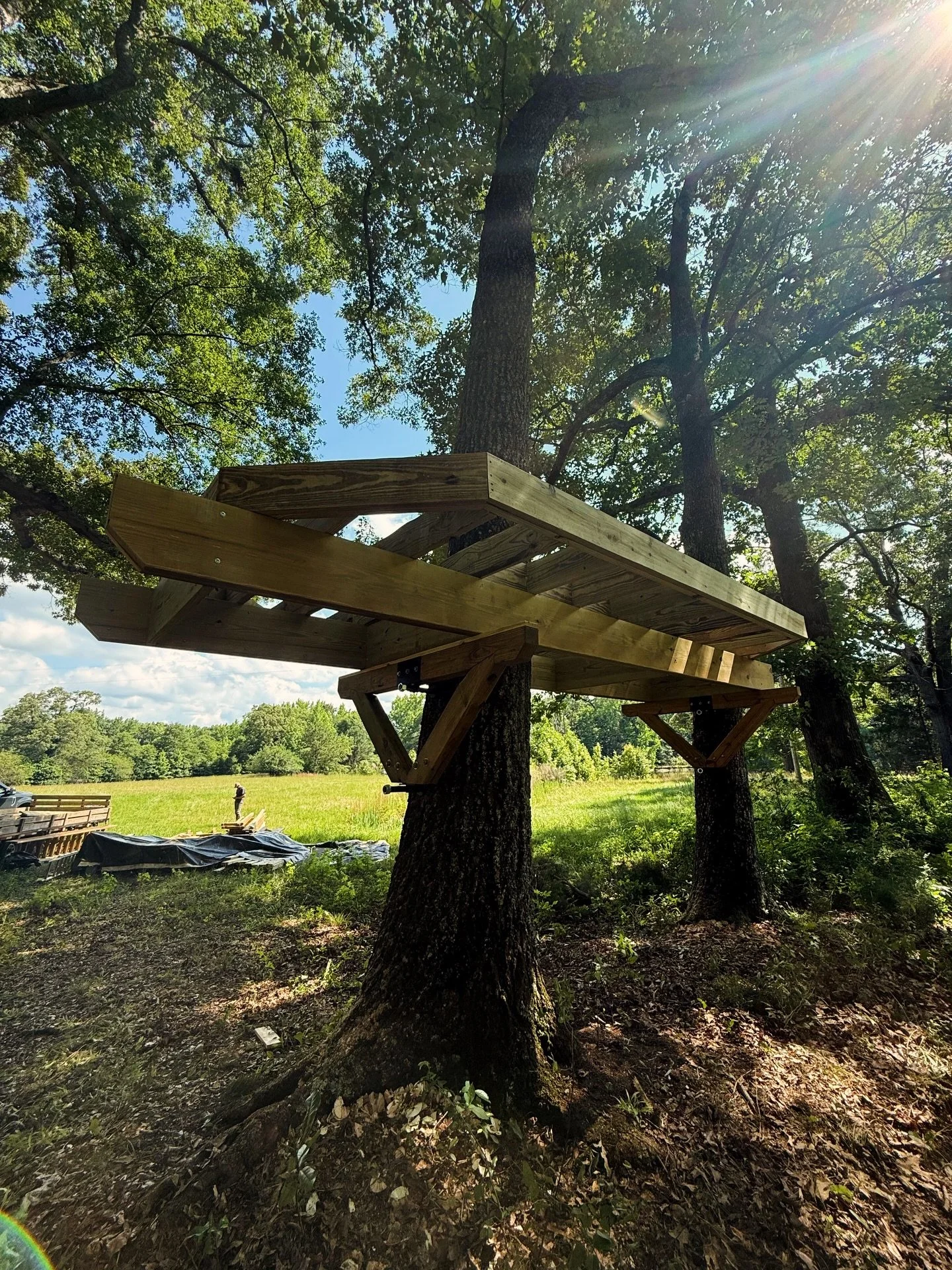 The start of a multi-platform, ziplining, suspended net fun! Designed to accommodate several children of various ages &ndash; watch this build unfold. 

#zipline #suspendedplatform #treehouseconstruction #treehousebuilding #treehouseexperts