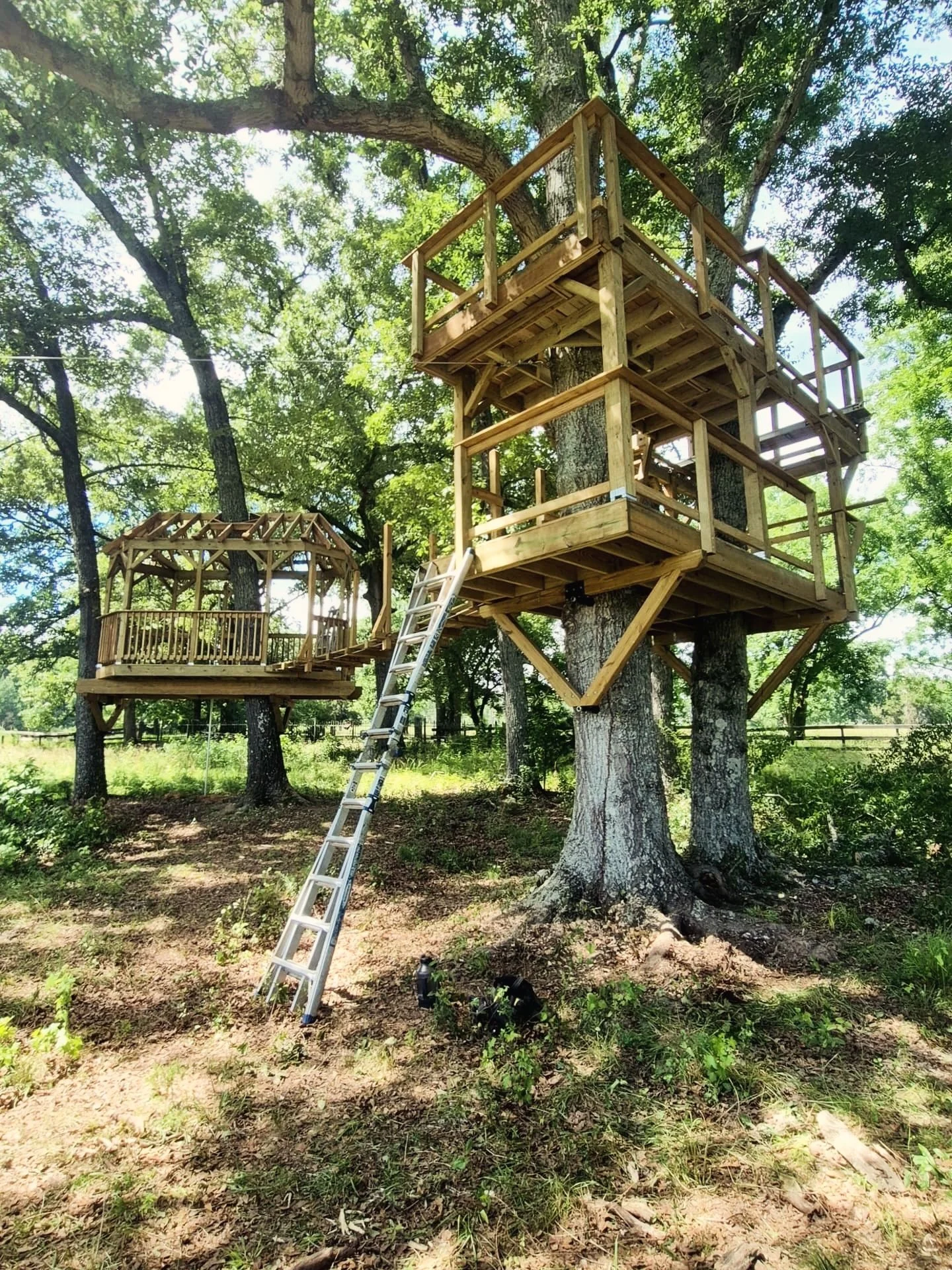 Rewind through to see the evolution of this new build. Next up: suspended net loft, 2x ziplines and a suspended bridge. 

#zipline #suspendedplatform #suspendedbridge #treehousebuilding #treehouseexperts