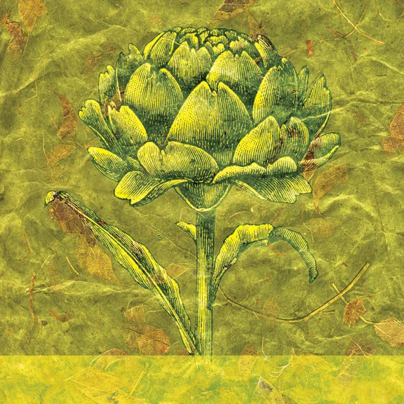 Artichoke.jpg