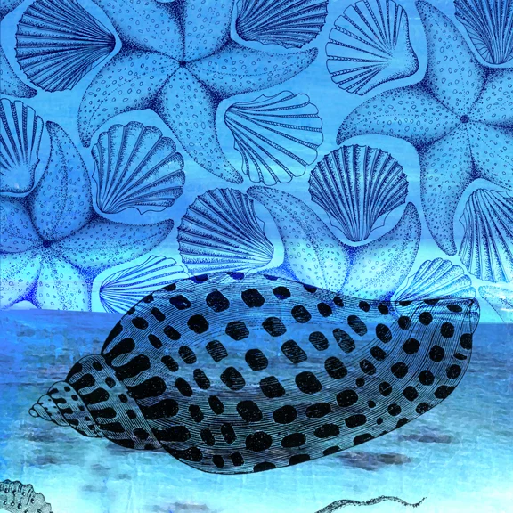 Shell_Boat_12.jpg