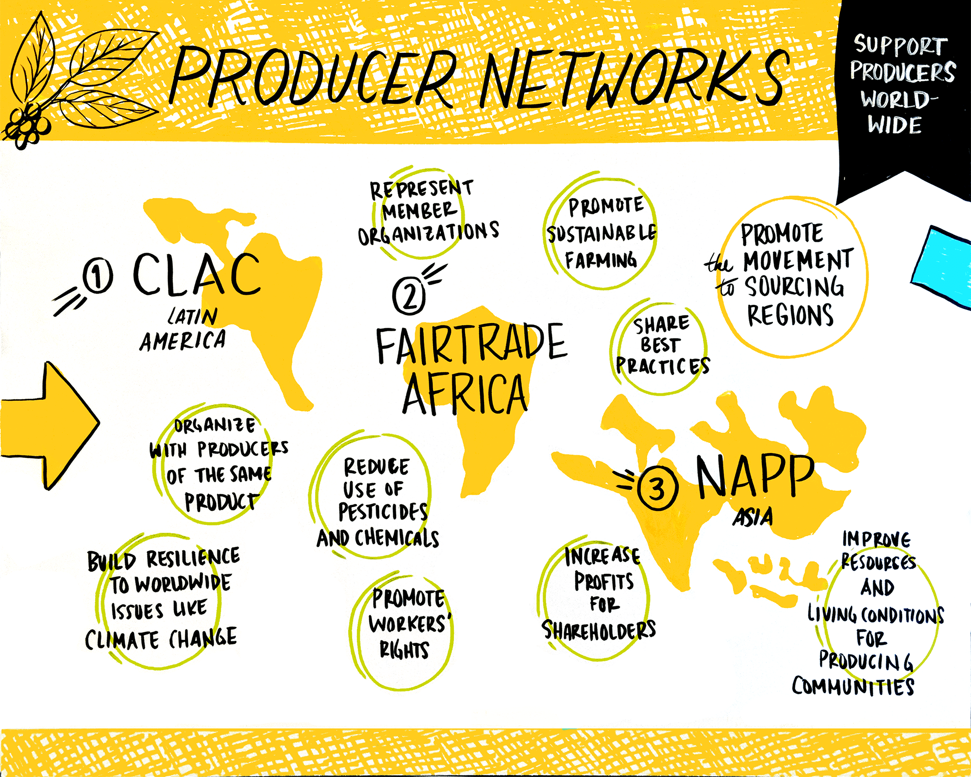PNs_Graphic Recording_Urban Wild Studio.png