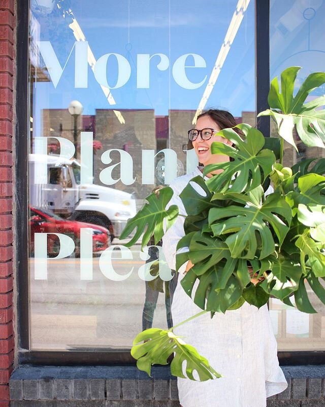 YWG. Friyay!! The most gorgeous 10&rdquo; (&amp;6&rdquo;) Monstera deliciosa just landed in the shop! 😍Lots of new plants arriving today open til 6pm.💚