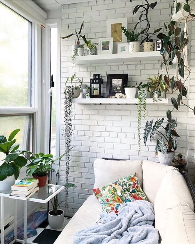 How Cozy is this lovely plant room? We spot our Frida Cushion .😍 Thanks for sharing @ajnne 💚