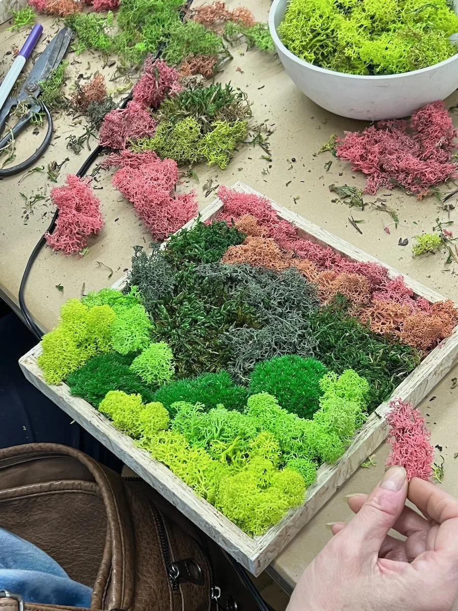 workshop_moss_9x9_1.jpg